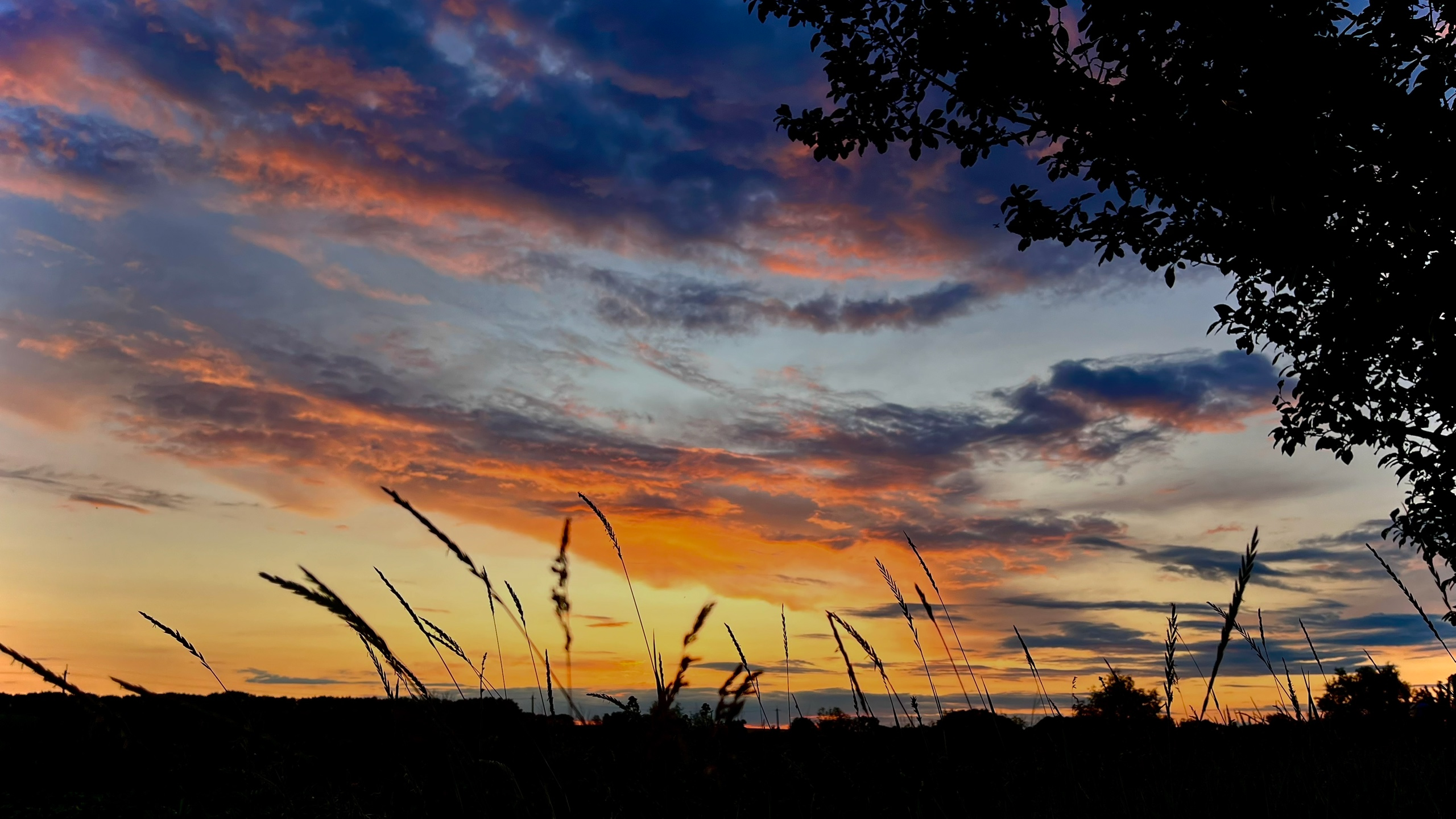 Ночная фотография пейзажа. Фотограф природных объектов