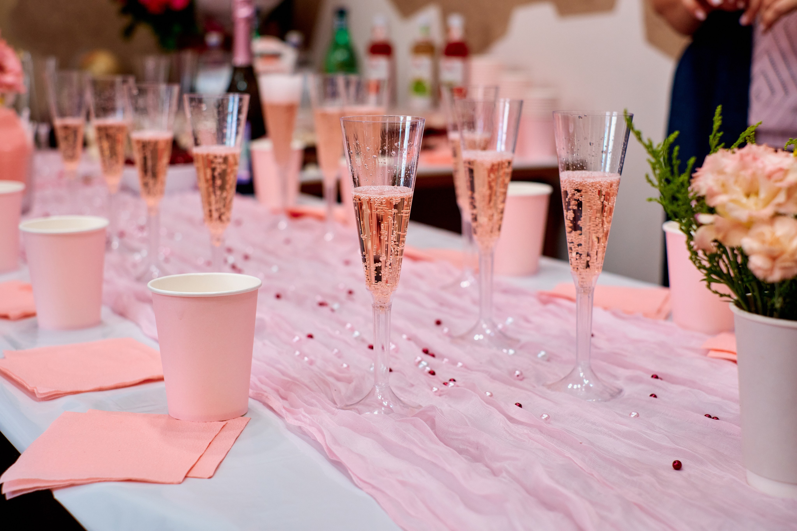 Открытие туристической компании «Розовый слон». Фотограф Таганрог Анна Трайжон