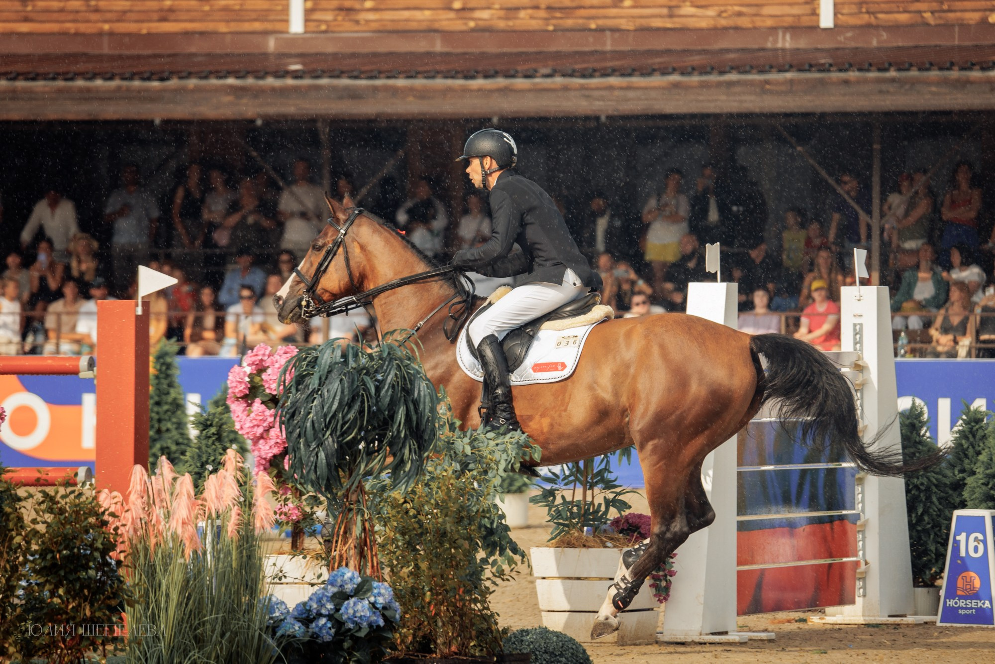 Дерби. Horseka 2024. Детская Конная фотография в Москве Юлия Шепелева