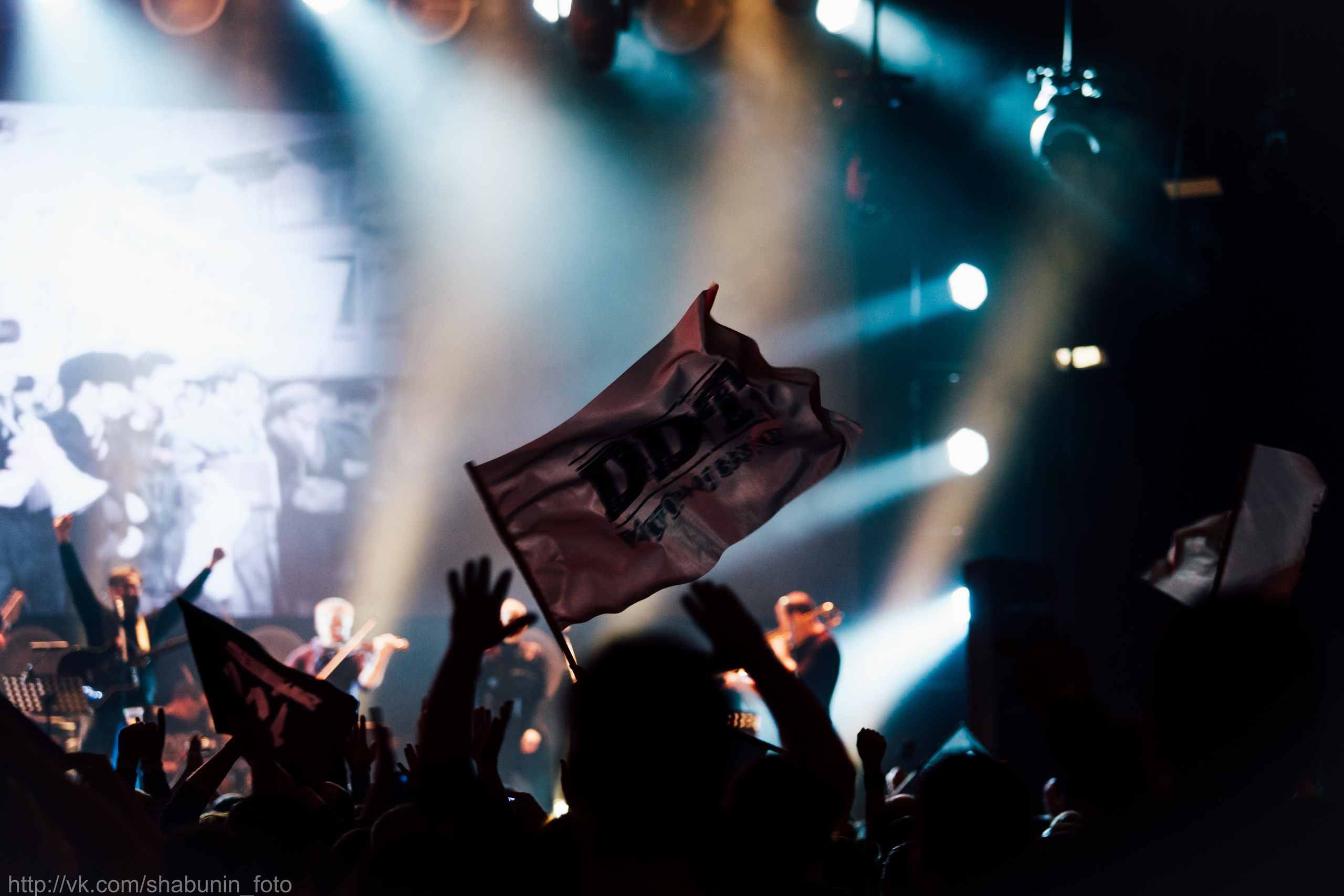 Концерты общее портфолио. The main