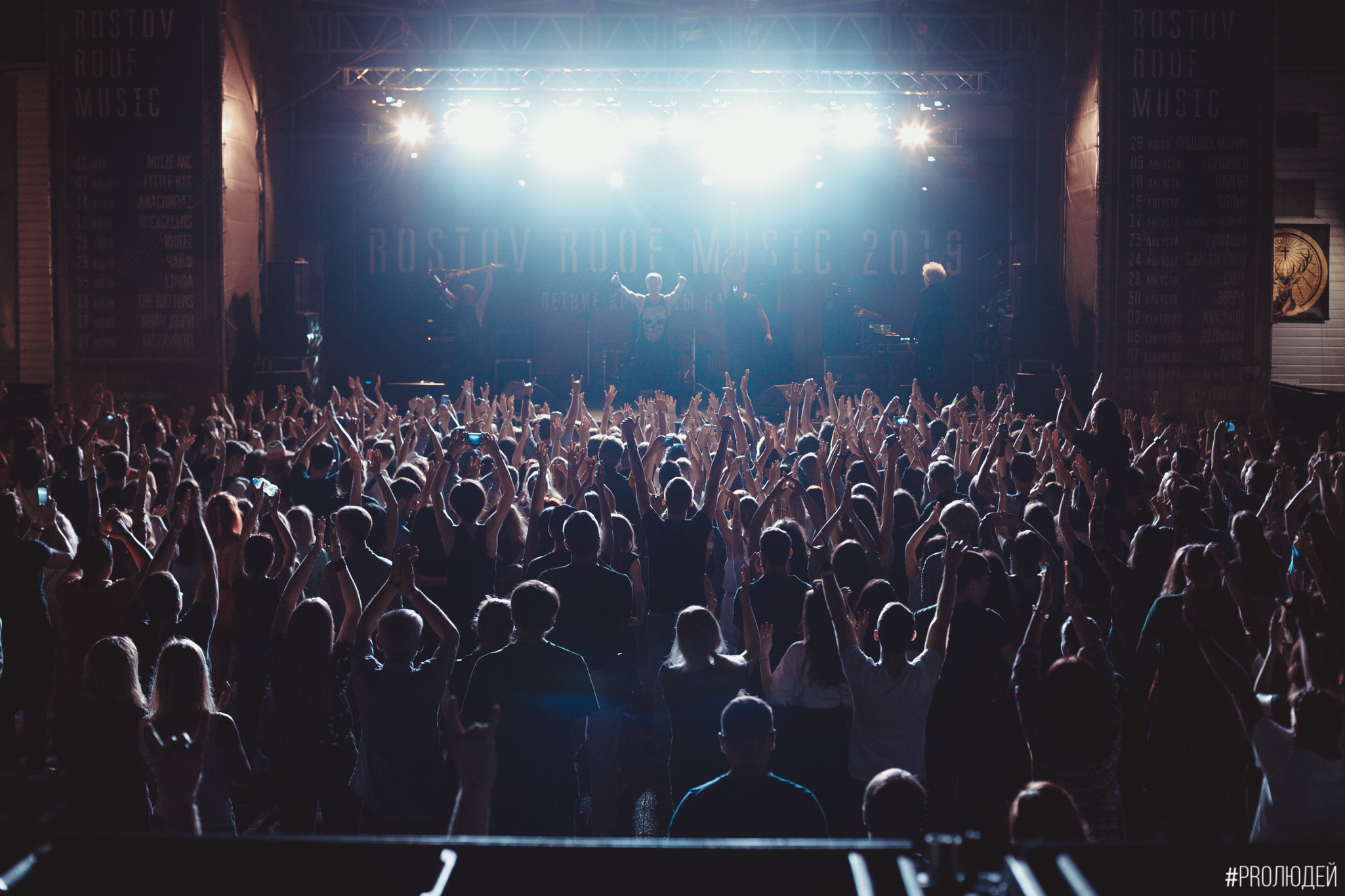 Концерты общее портфолио. The main