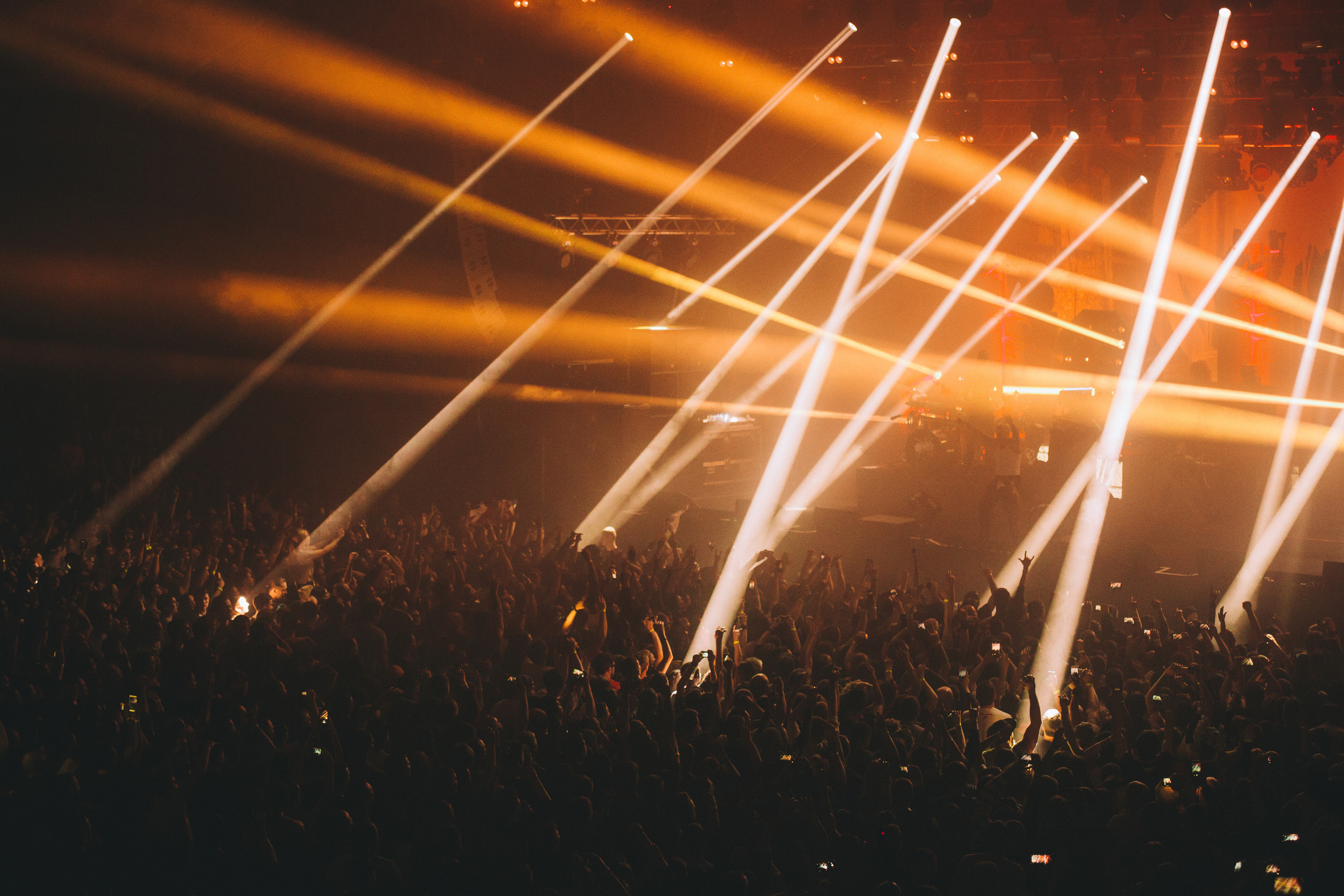 Концерты общее портфолио. The main