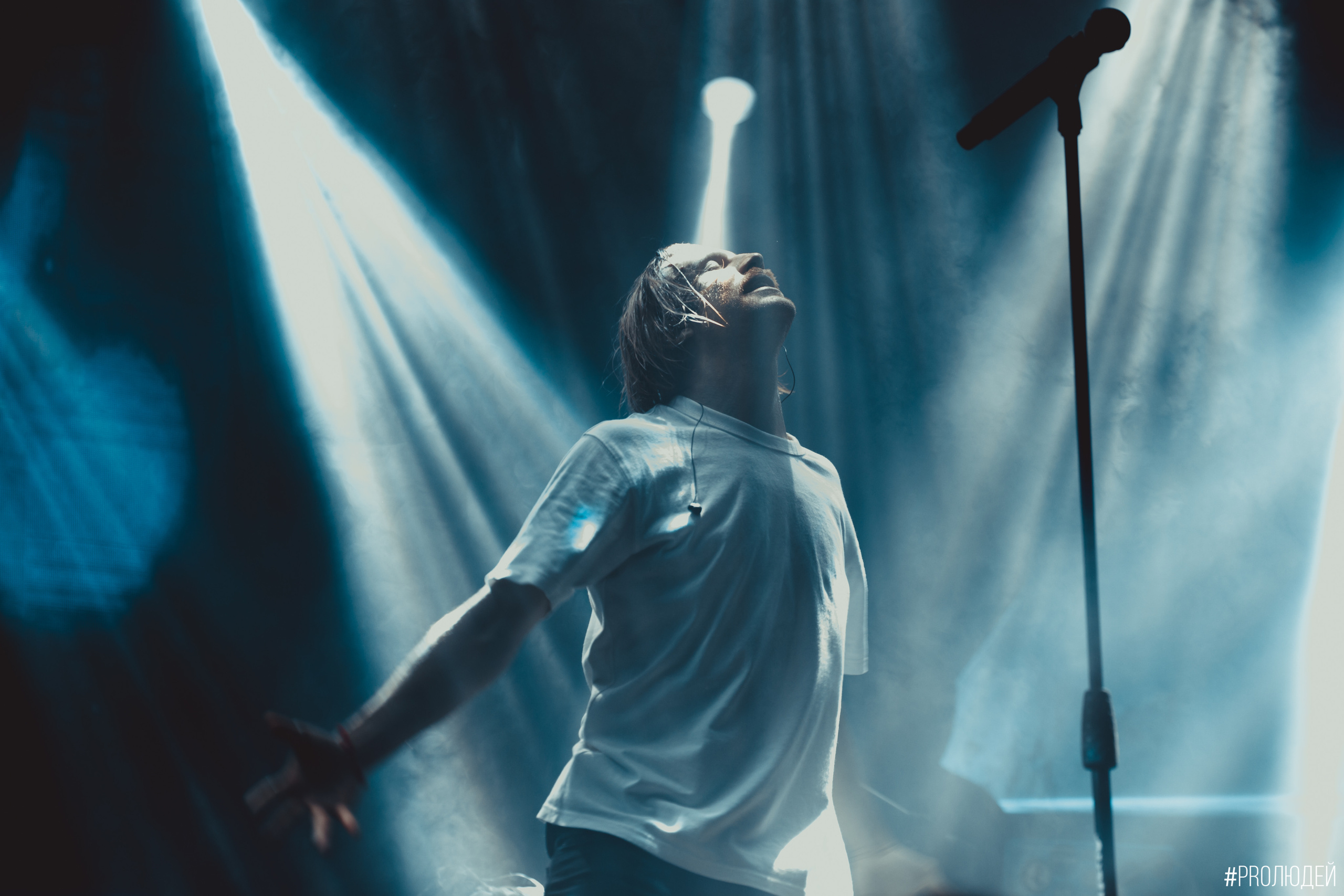 Концерты общее портфолио. The main