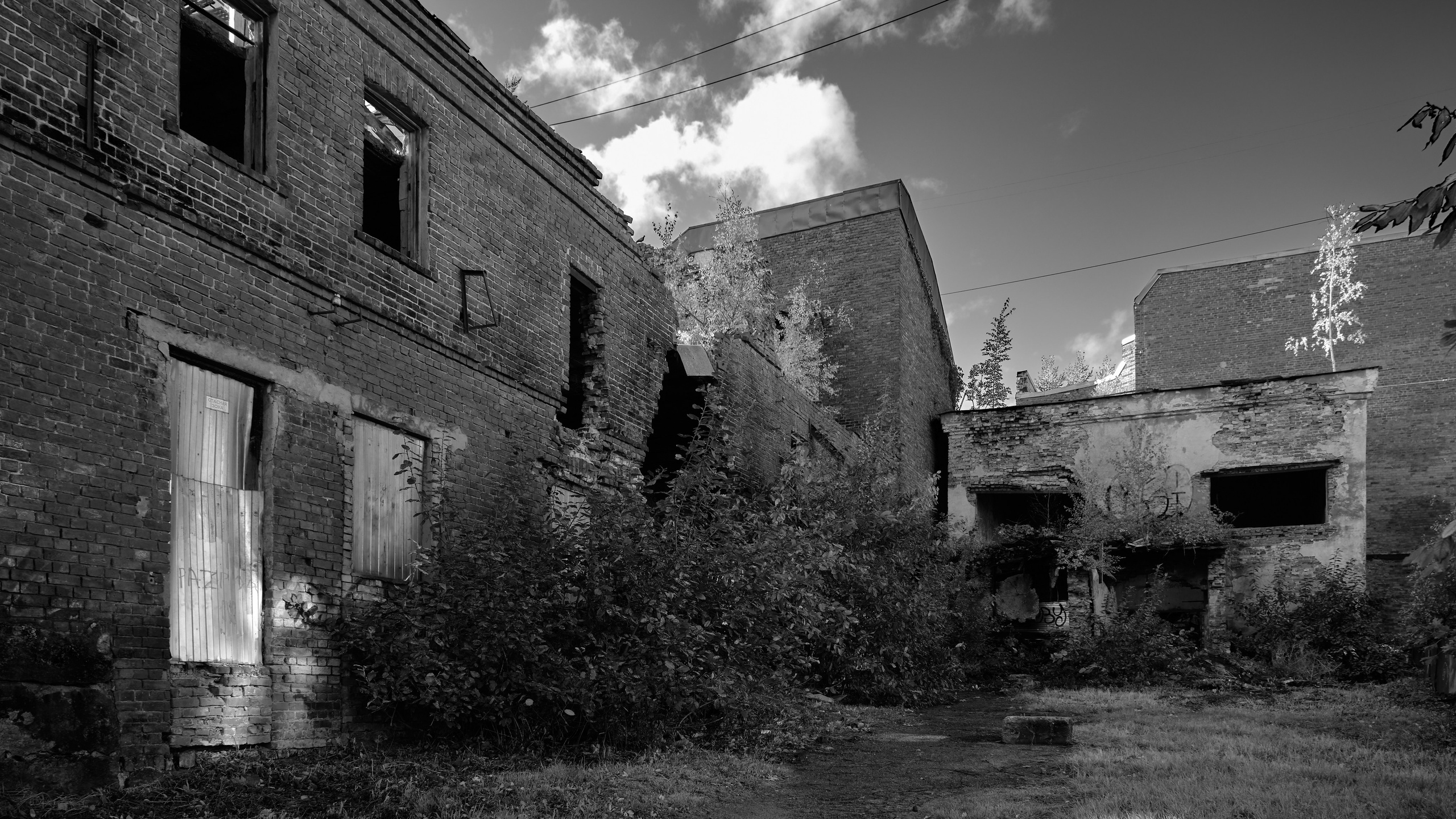 Выборг. Пейзажи Крайнего Севера. Баренцево море, Рыбачий, Средний, Немецкий