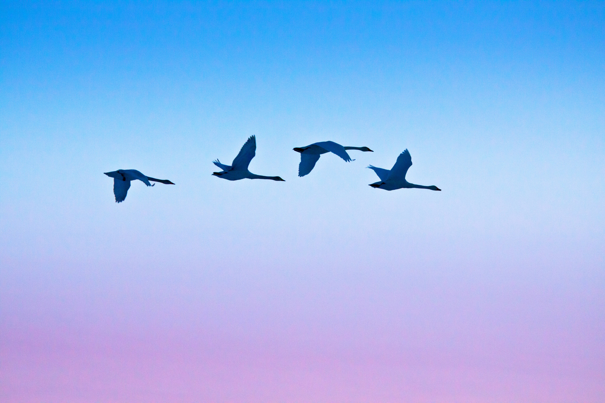 Пейзажи Крайнего Севера. Баренцево море, Рыбачий, Средний, Немецкий