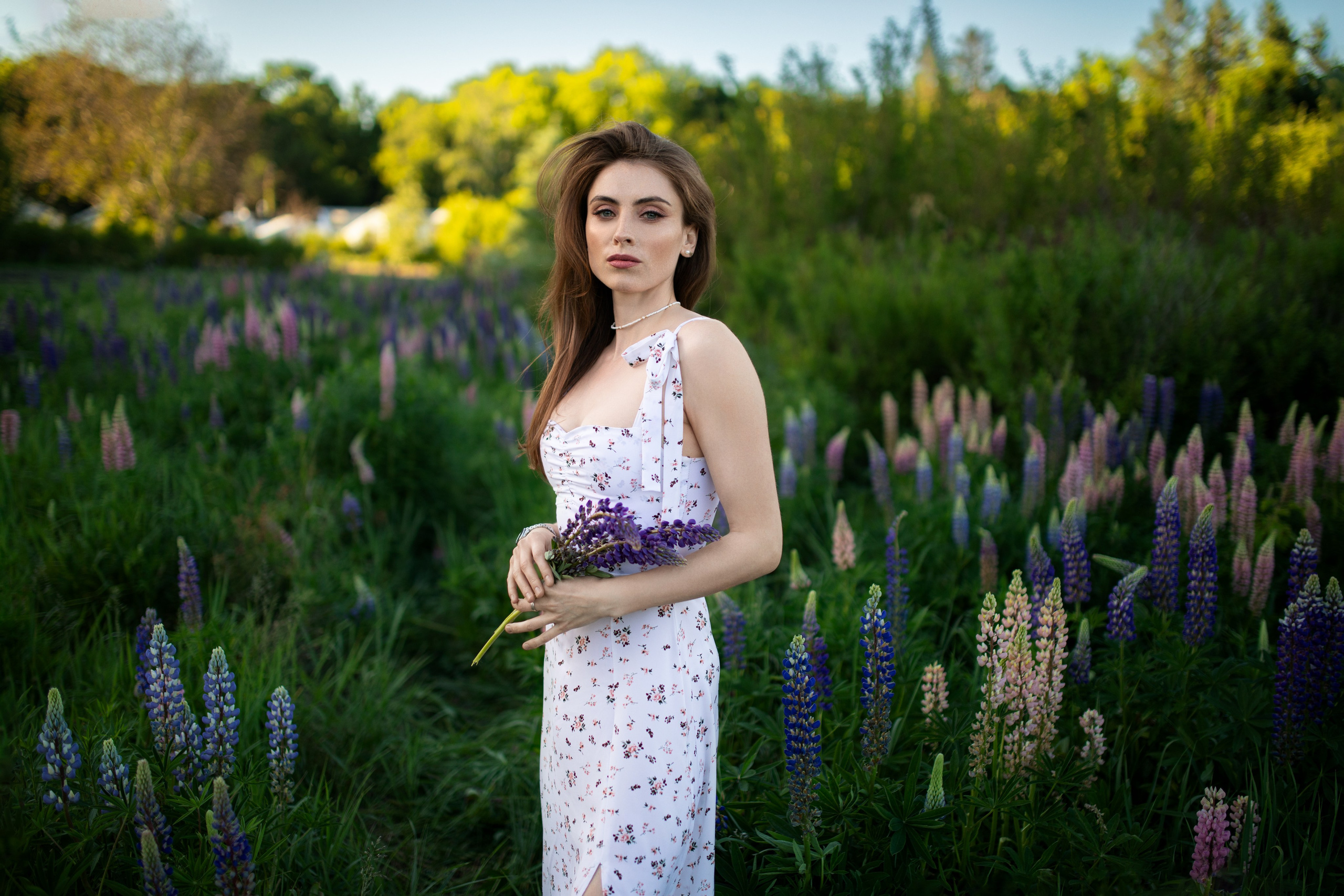 Фотосессия с Надеждой с люпинами в формате «для себя». Дмитрий Шульгин, портретный фотограф в Воронеже