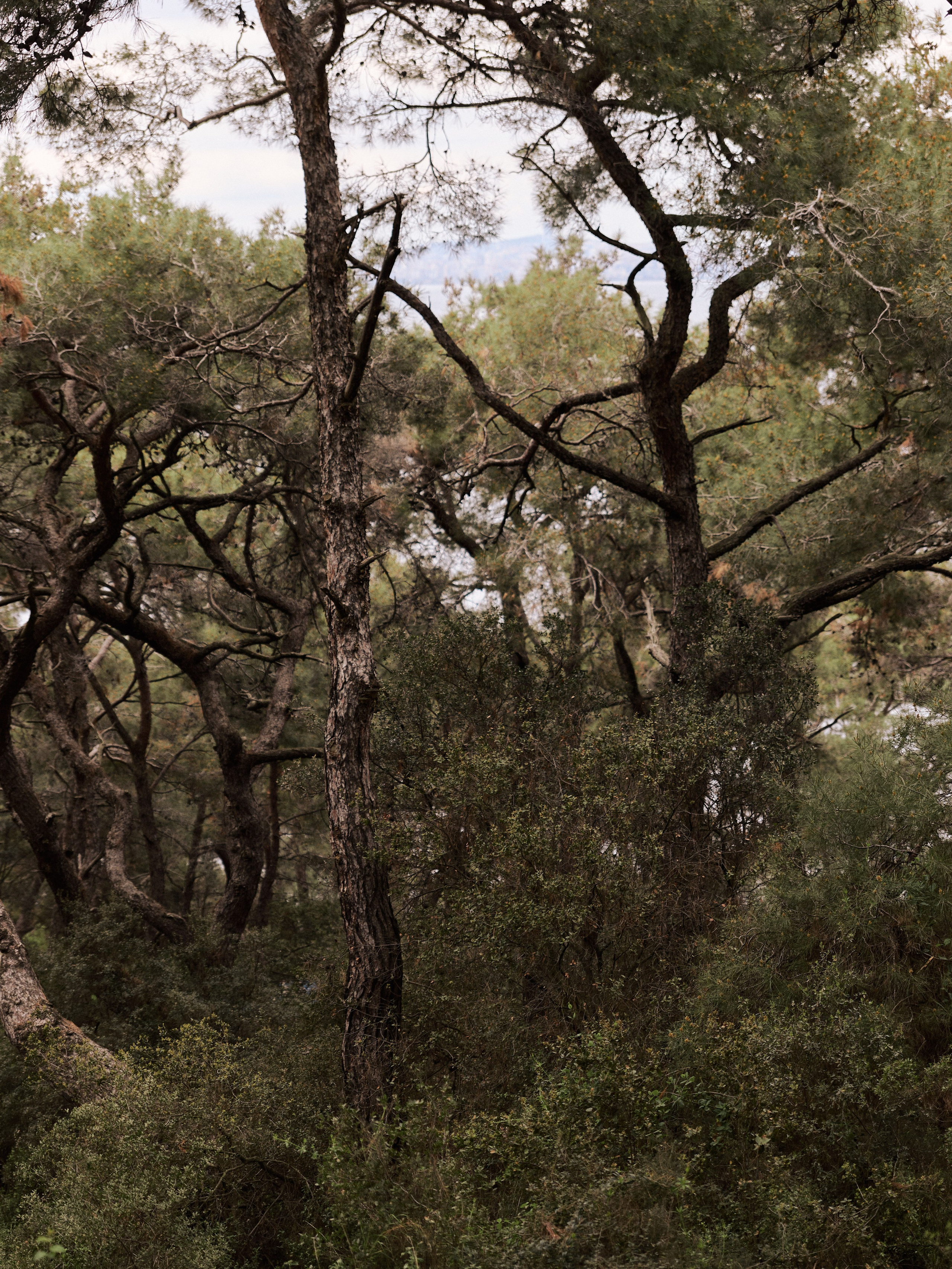 Природа. Jorgis Talè — photographer, kind person, teacher of arts and other mag