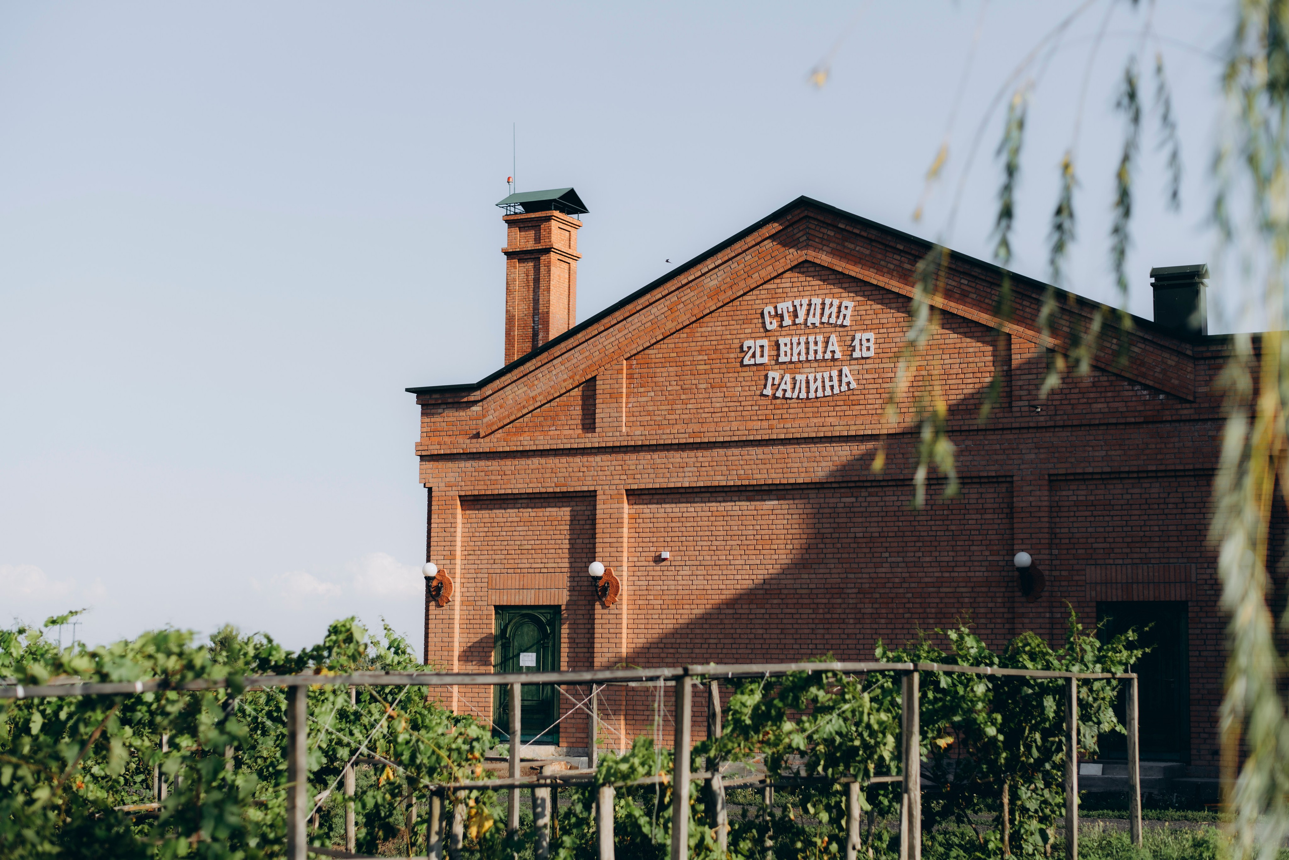 На винодельне. Свадебный фотограф Ростов-на-Дону от 4 400 руб. |Кристина Гайсенюк