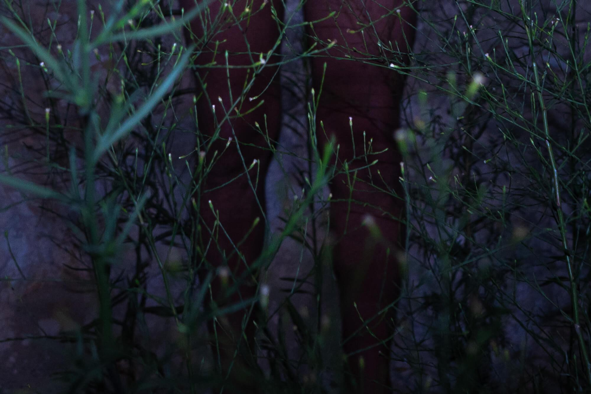 Wandering lights. Alena Ahmadullina