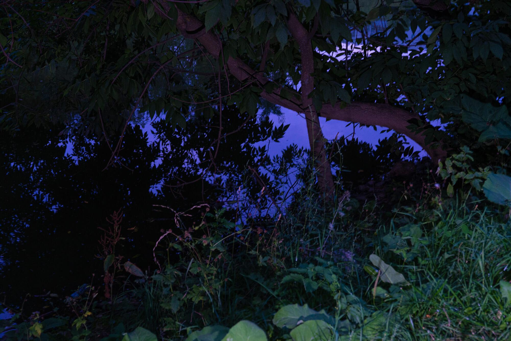 Wandering lights. Alena Ahmadullina