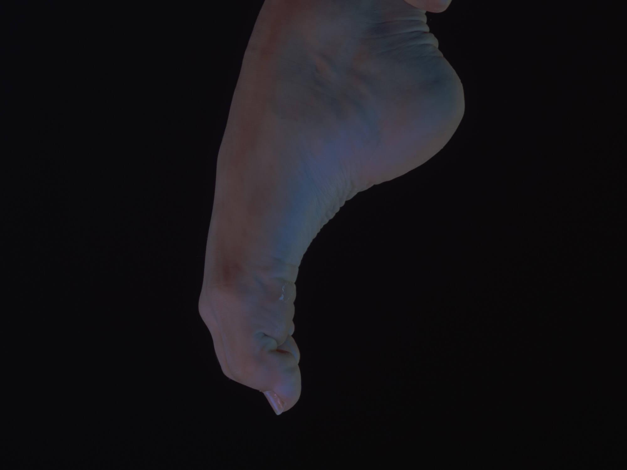 Wandering lights. Alena Ahmadullina