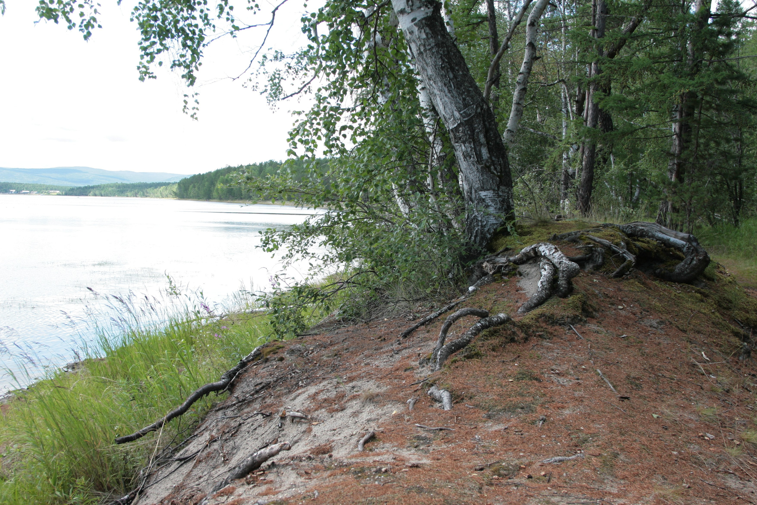 Фото Природы Забайкалья. Студия Максима Белослюдцева