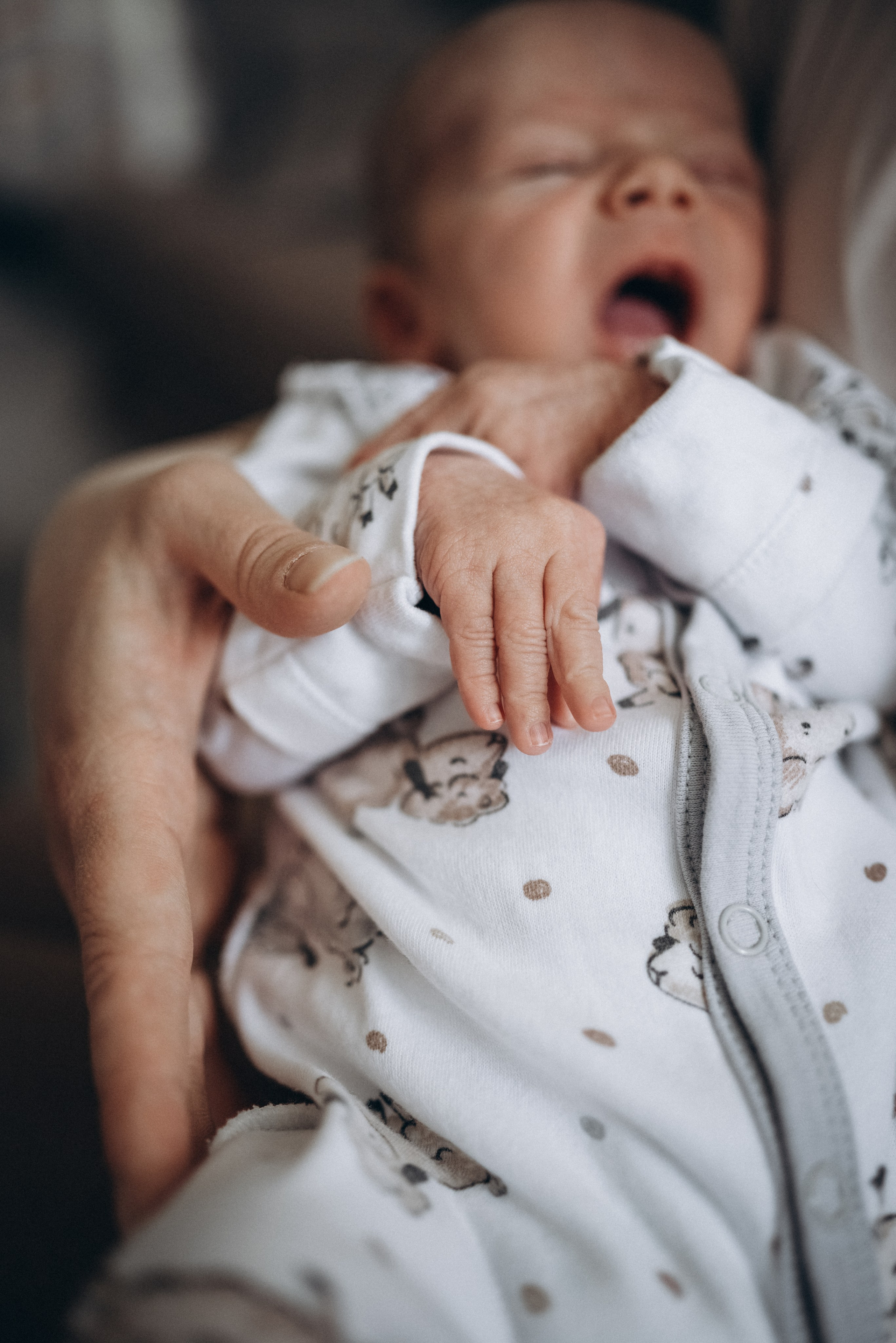 Антон, Наталья, Лиза и Егор. Семейный и детский фотограф Лариса Ерданова в Екатеринбурге