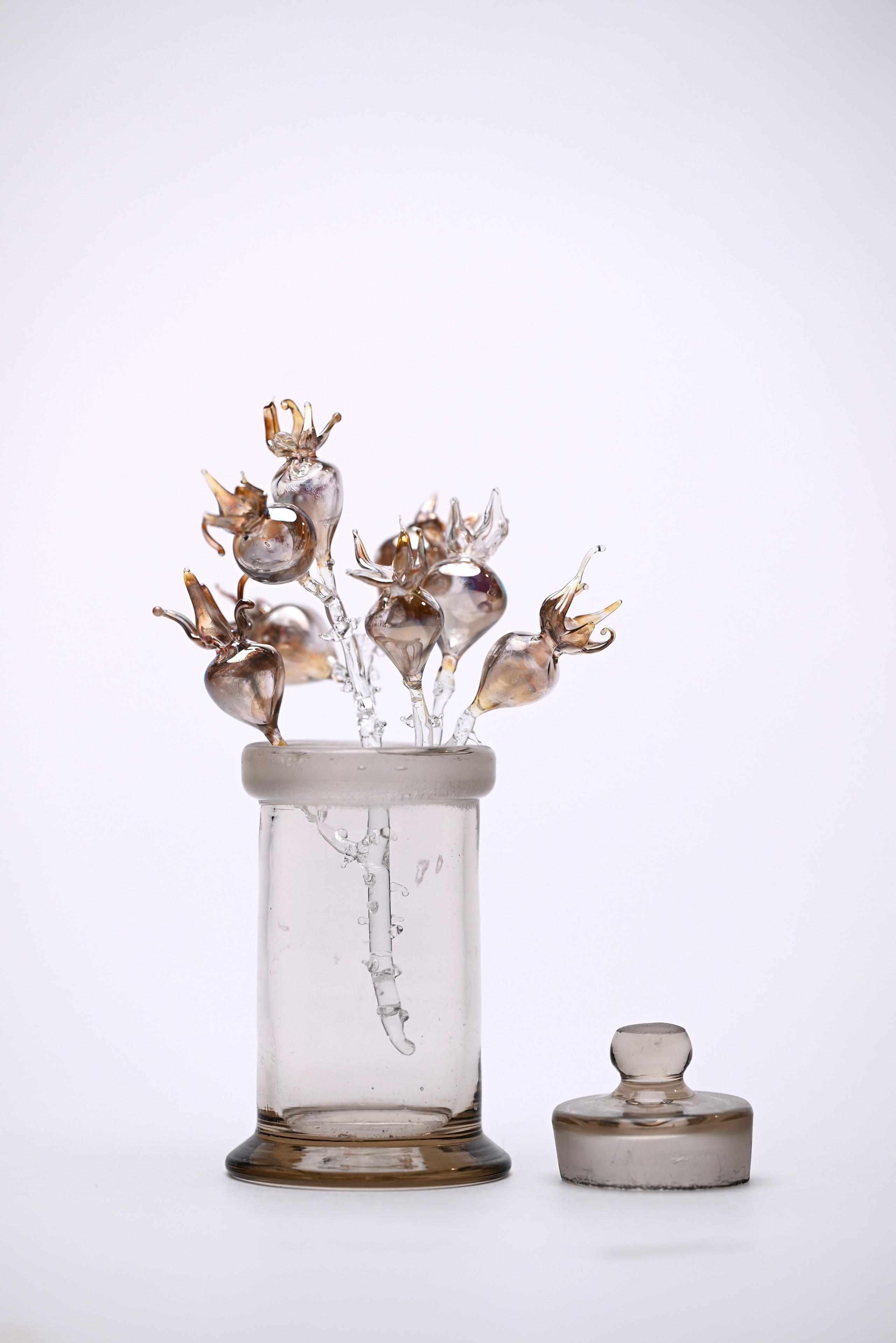 Шиповник. Артур Бахтин