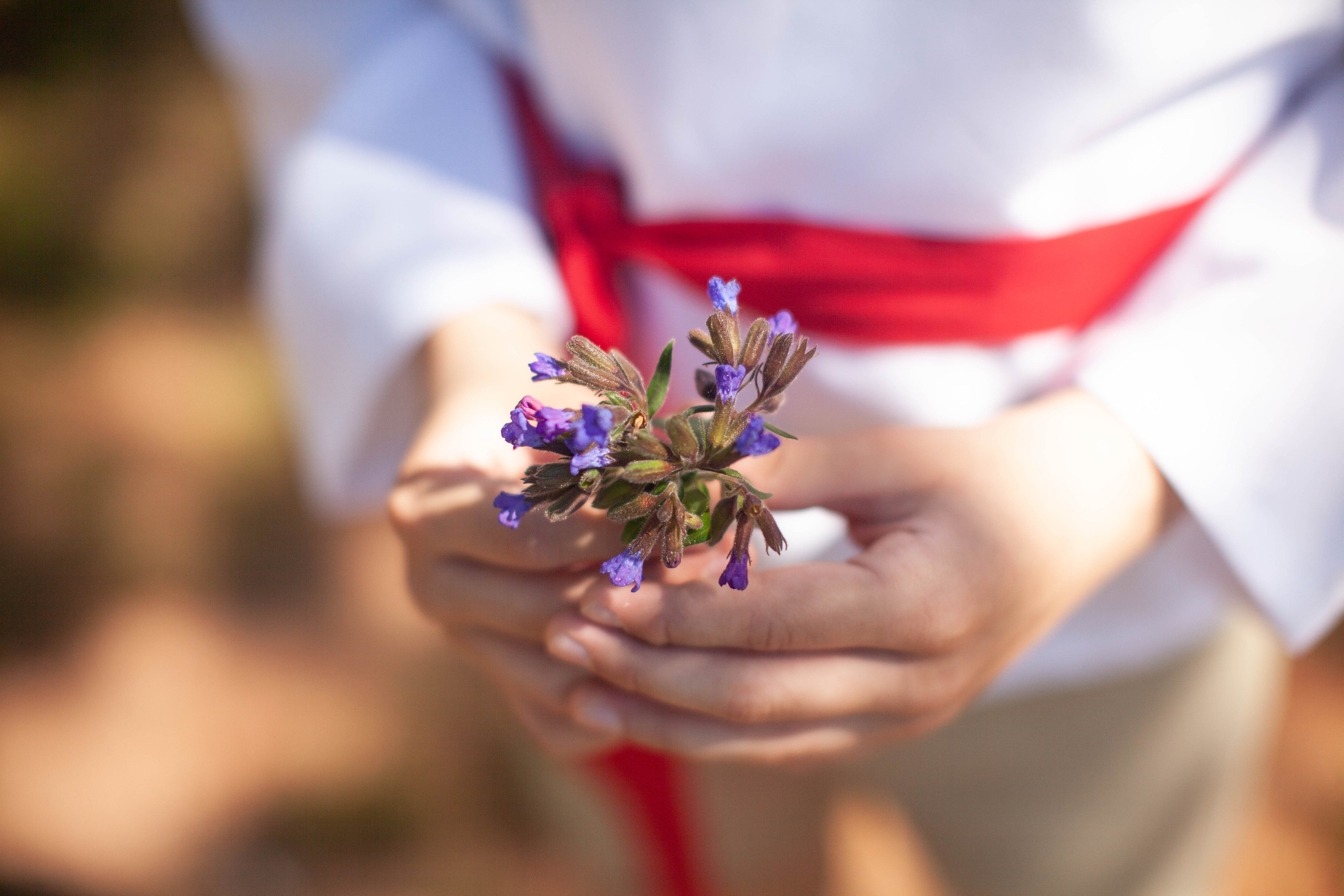 Летний день. Art my Pho
