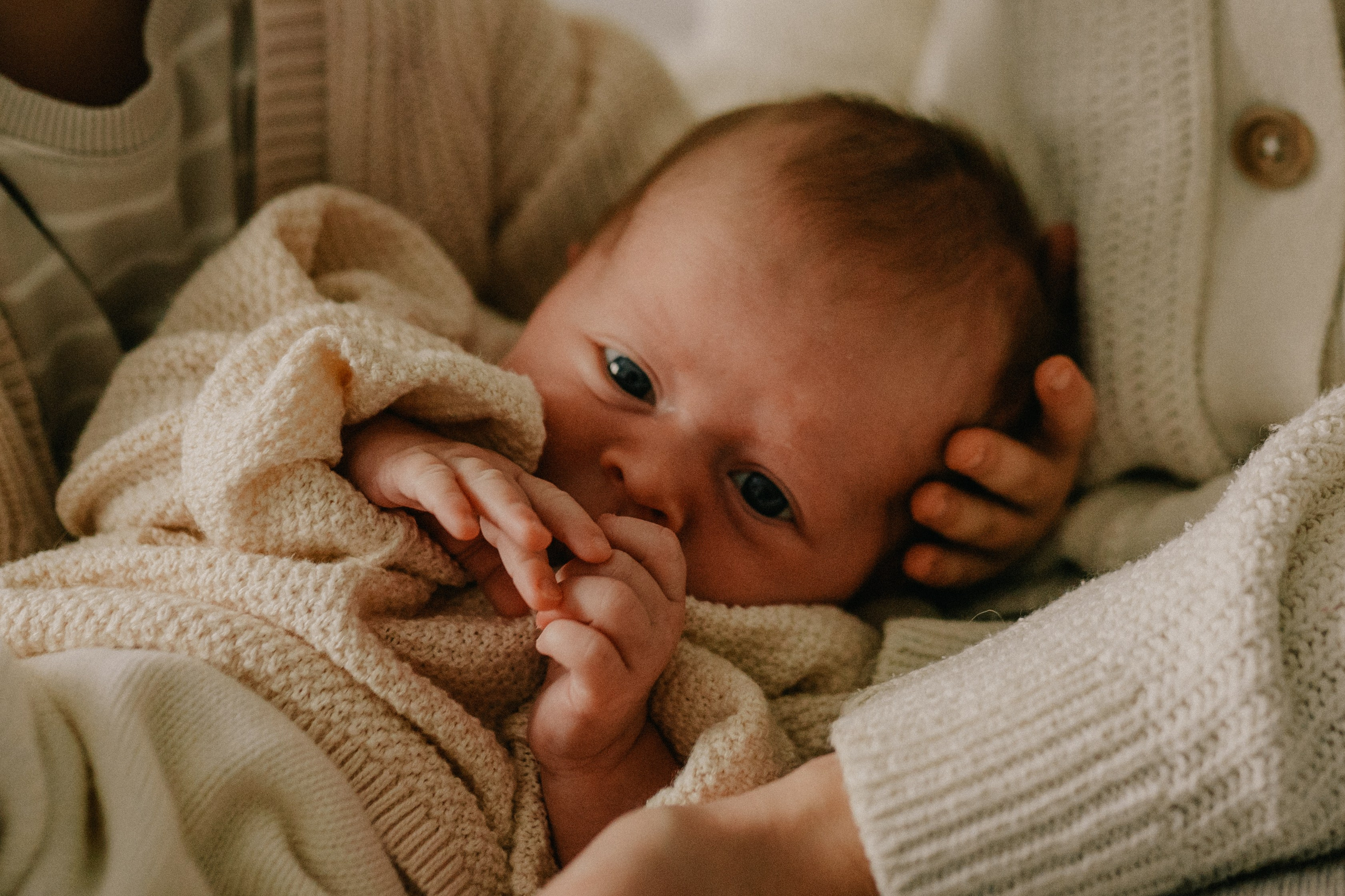 Лена, Игорь, Арина, Агата. Семейный фотограф Москва