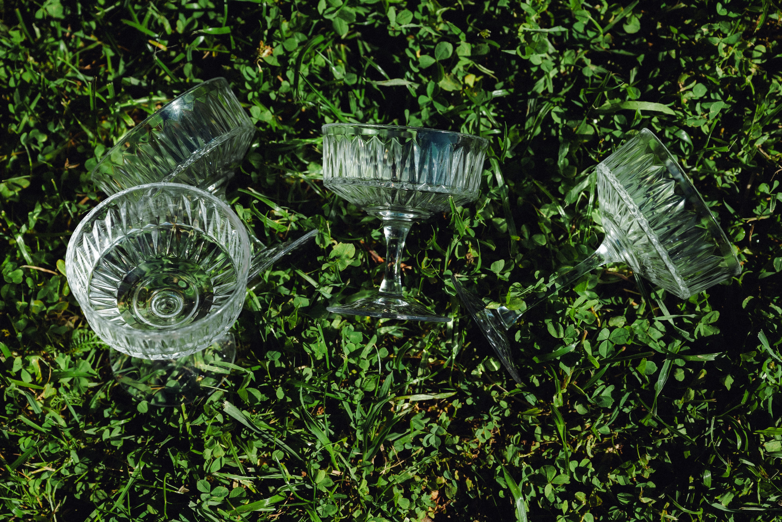 Free gorko. Фотограф в Санкт-Петербурге Евгений Перевалов