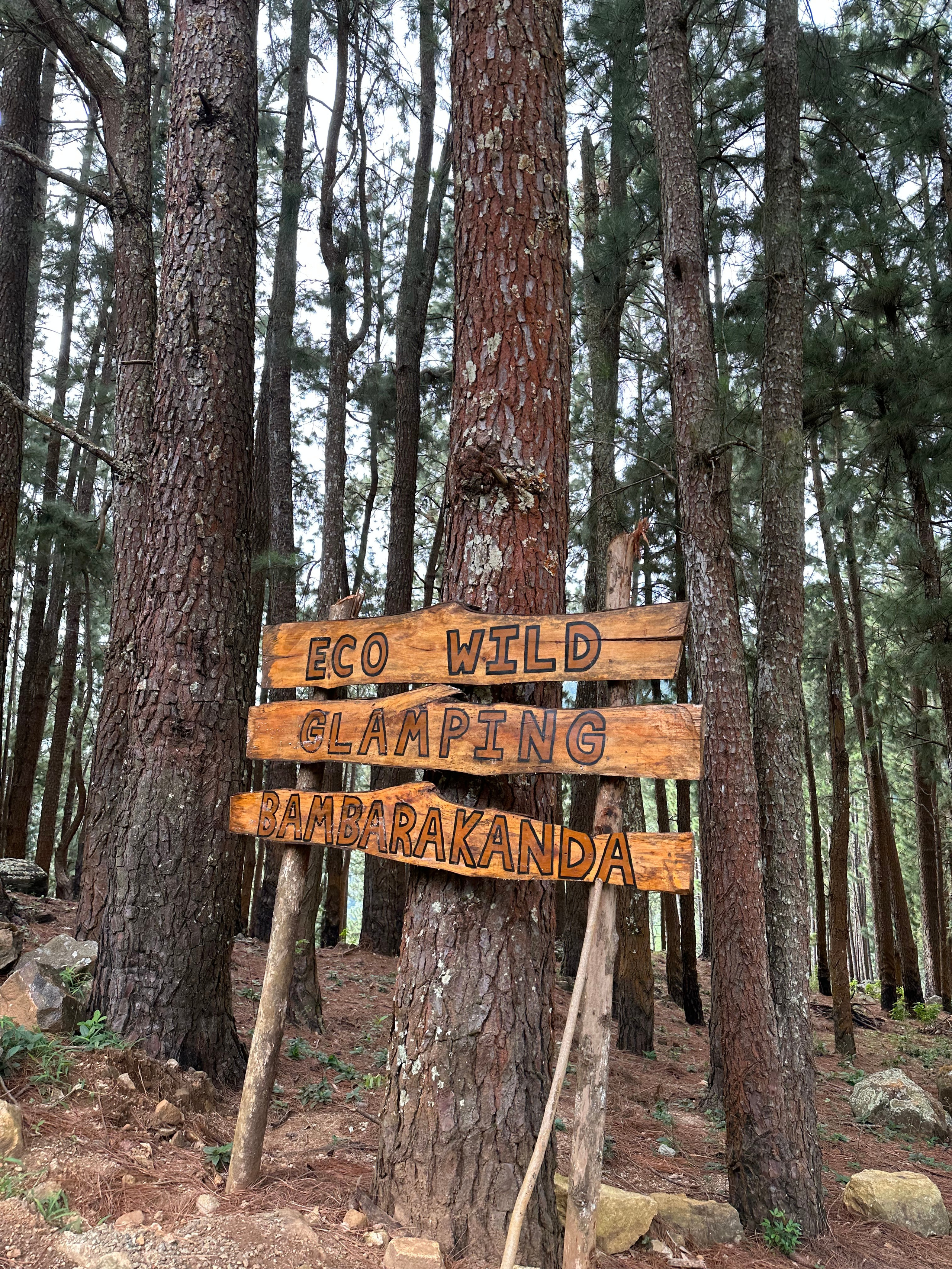 signs in the forest