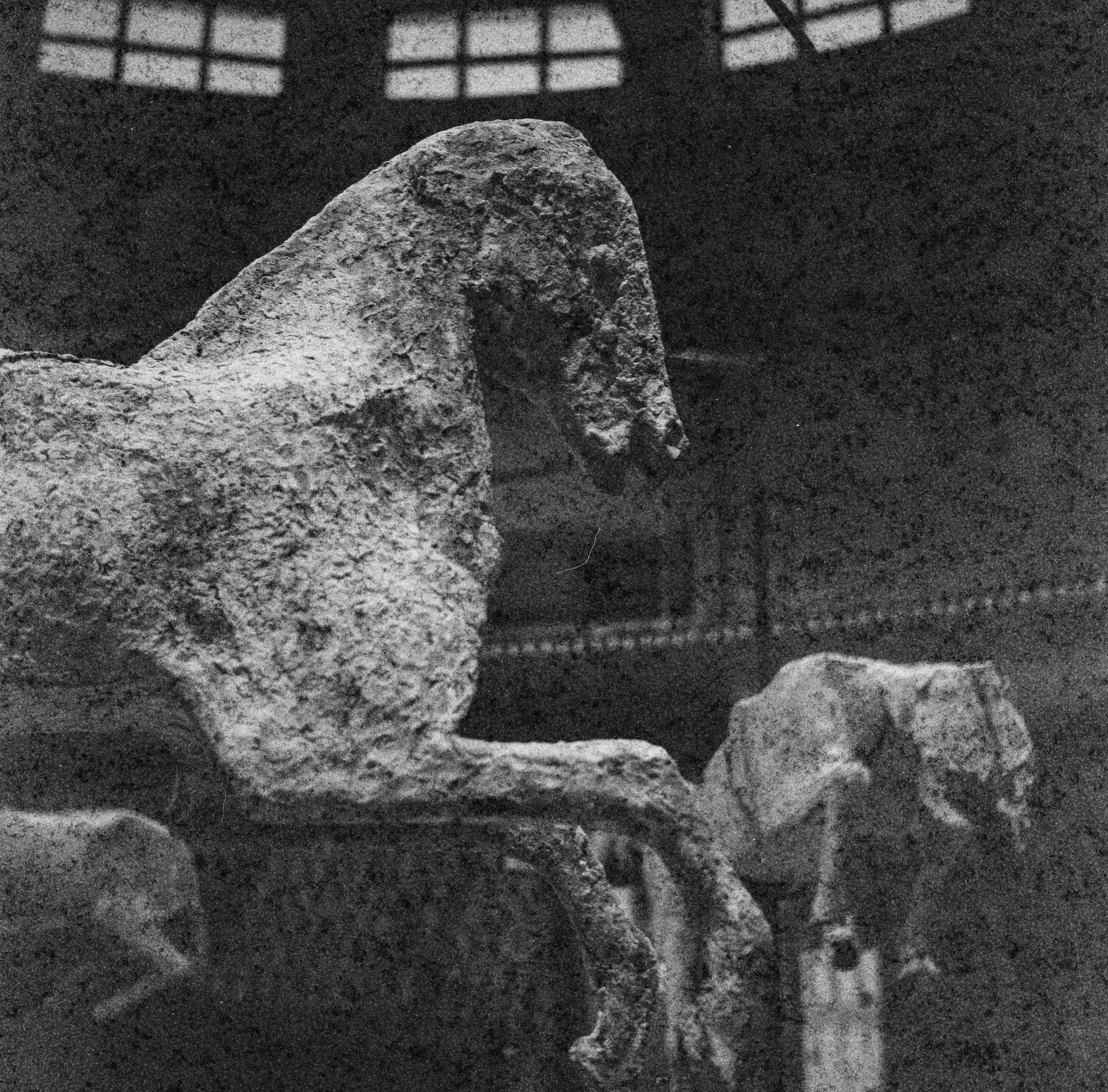 Плёнка 35/120мм. Katya Medvedeva