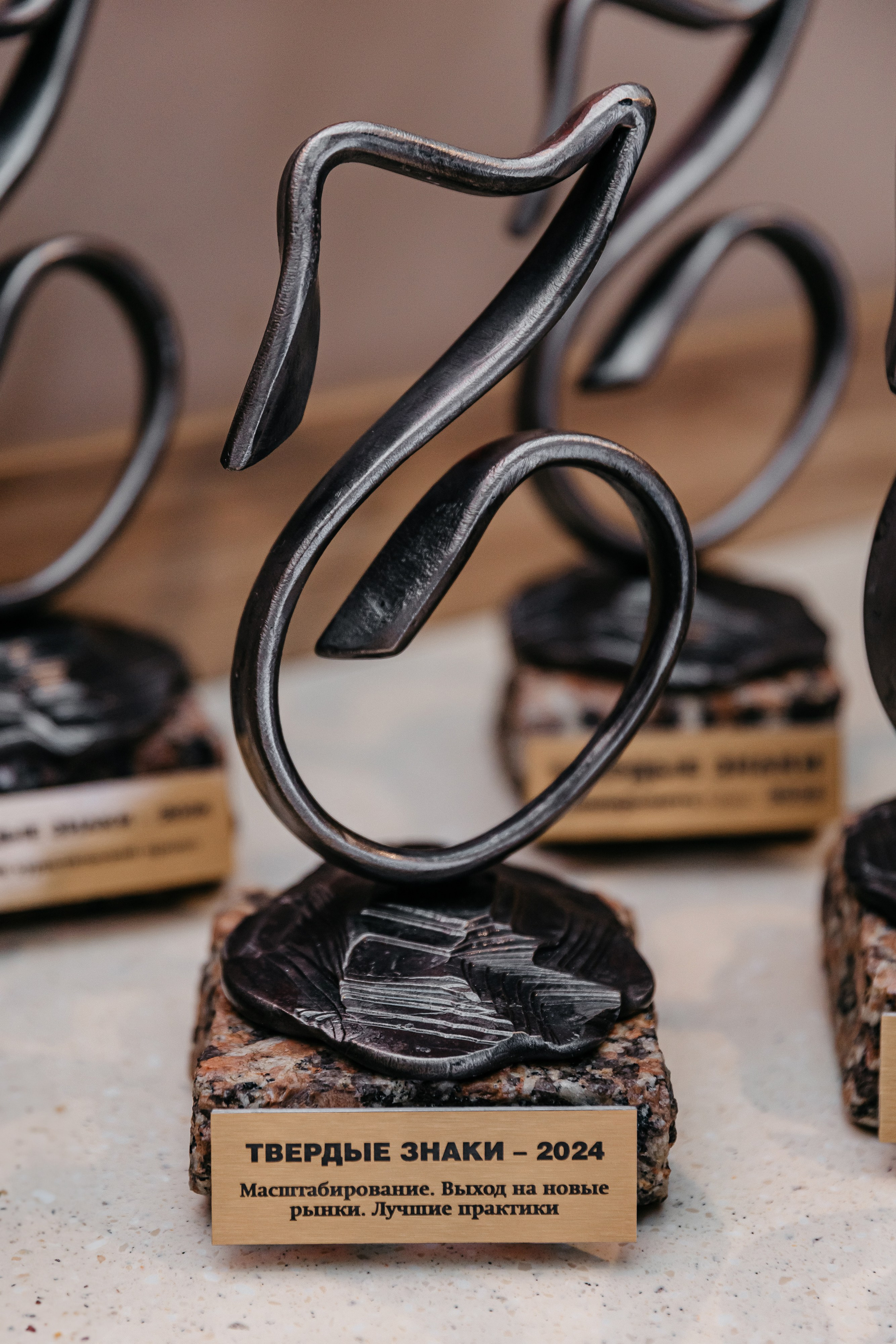 Бизнес-премия «Твёрдые знаки» Коммерсантъ-Кубань. Свадебный, семейный, интерьерный фотограф в Краснодаре Денис Голощапов