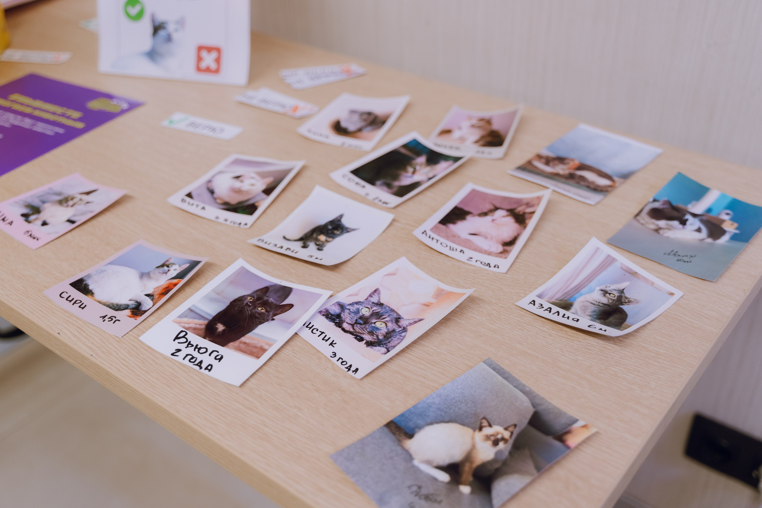 IX Форум добровольчества РО 2025. Фотограф Надежда Погребняк | Рязань | Москва