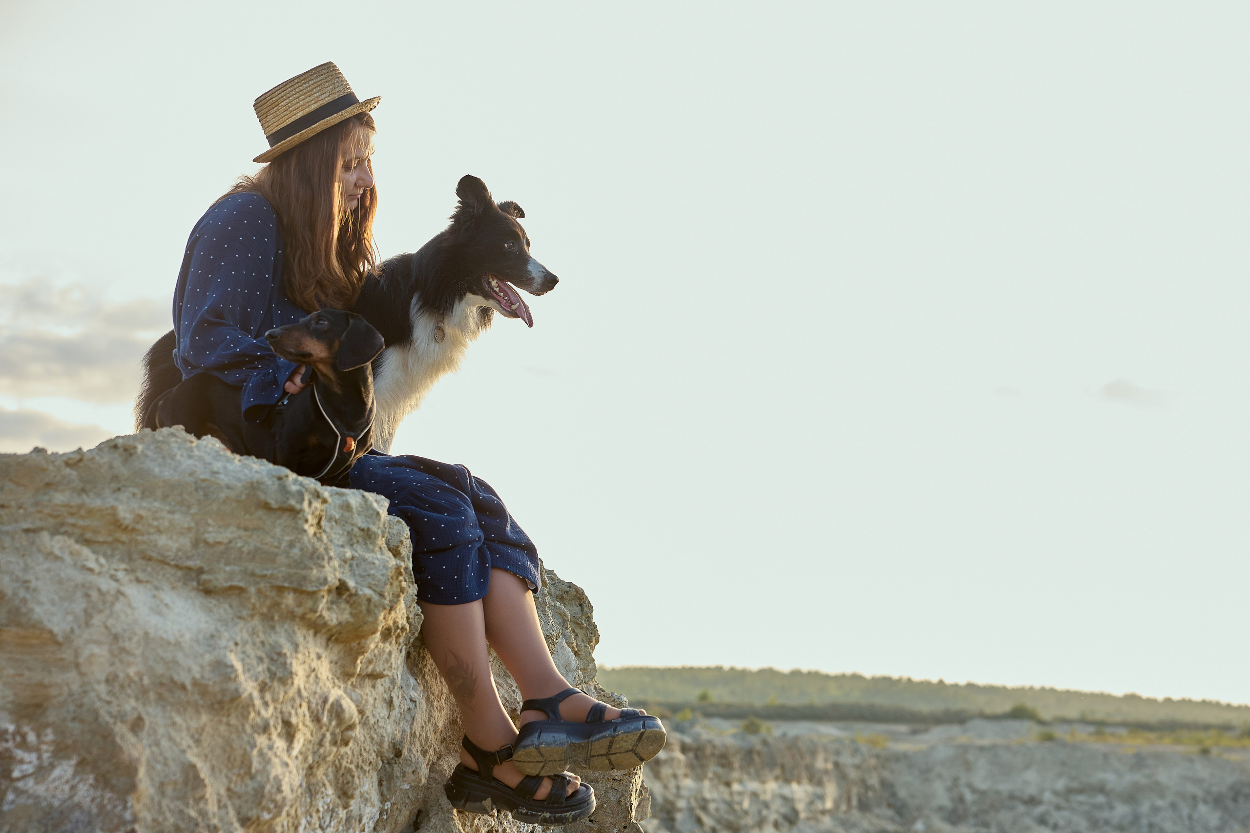 Фотосъёмка животных. Предметный и репортажный фотограф Алексей Кротов