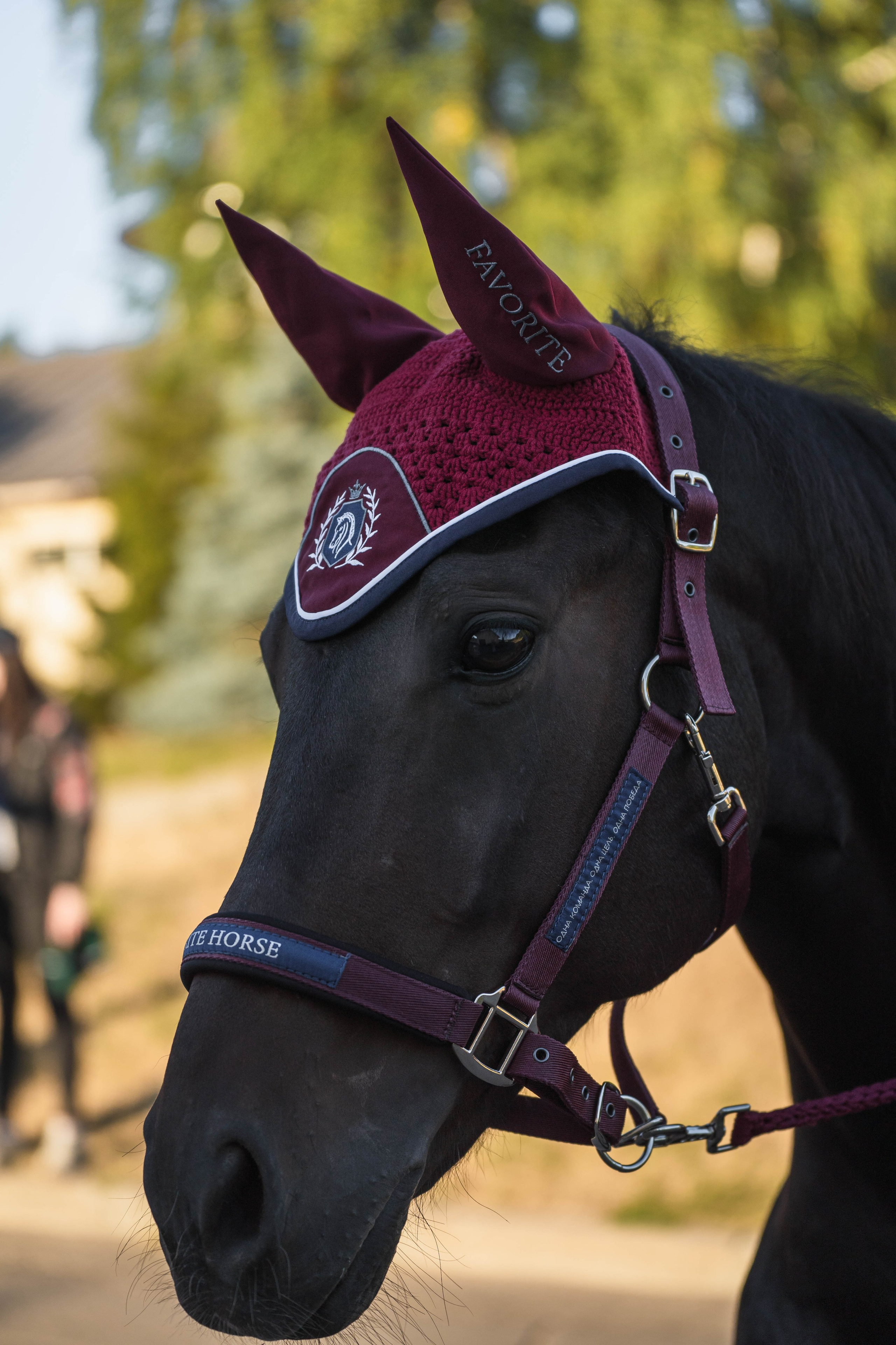 Конно-спортивная одежда. Фотограф в Москве Ленарская Дарья