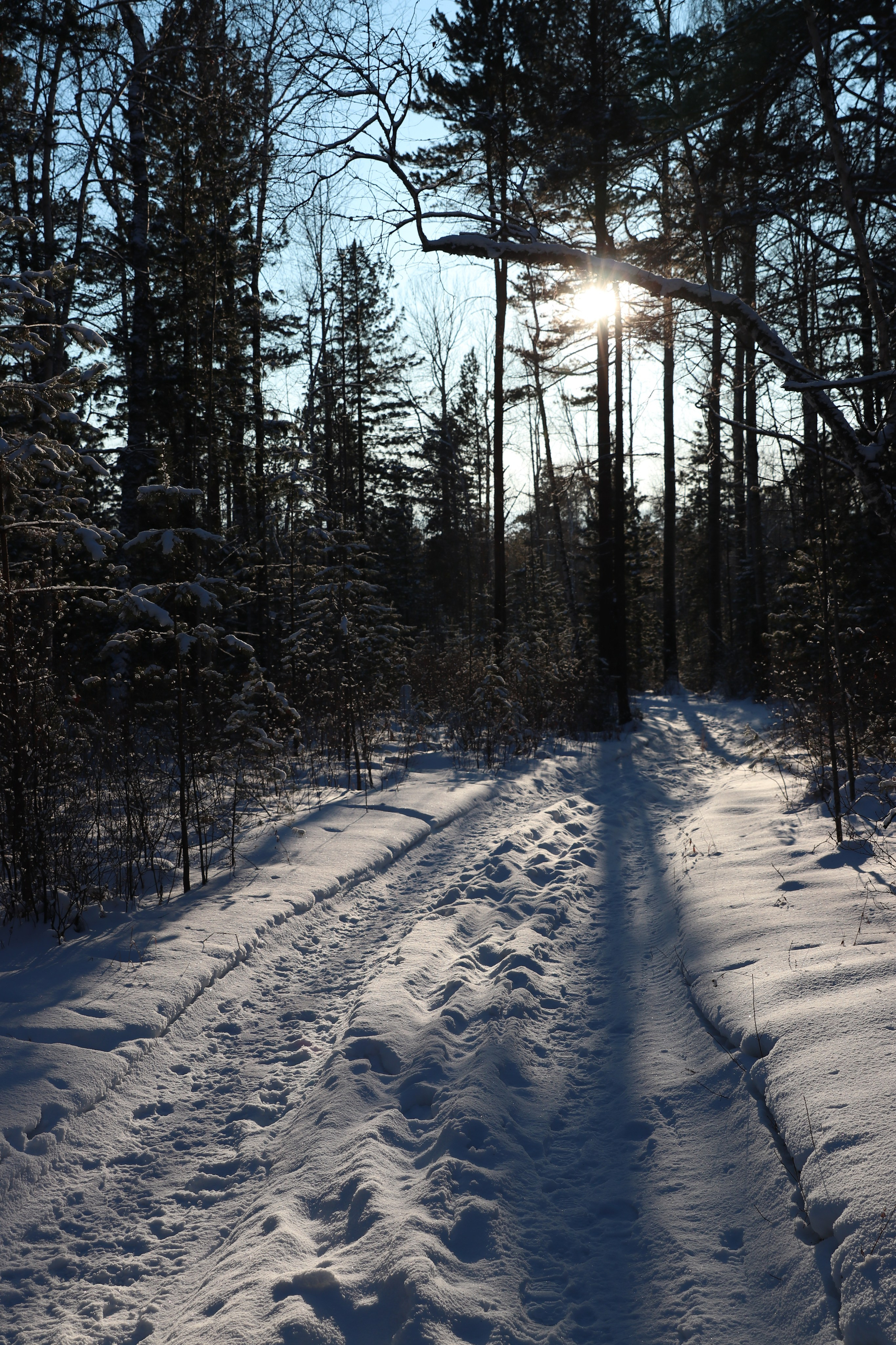 Аршан. Январь 2024. Путешественник-фотограф из Санкт-Петербурга Татьяна Свистулина