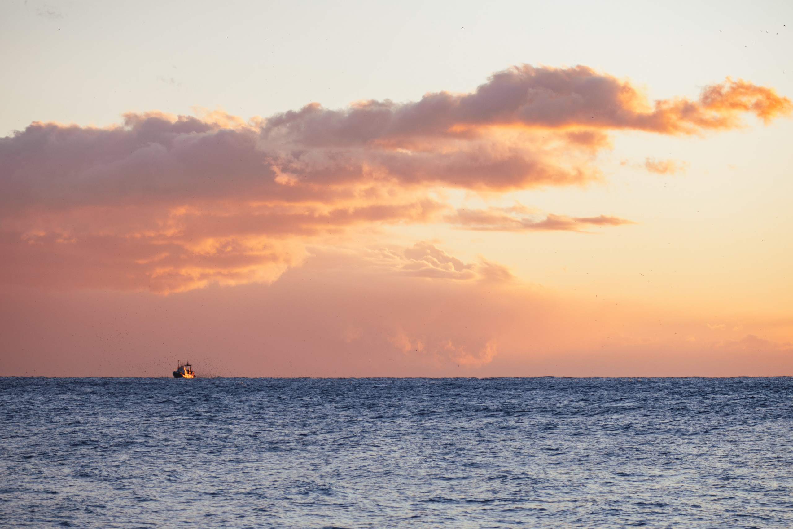 Nature. Артем Корнев Фотограф