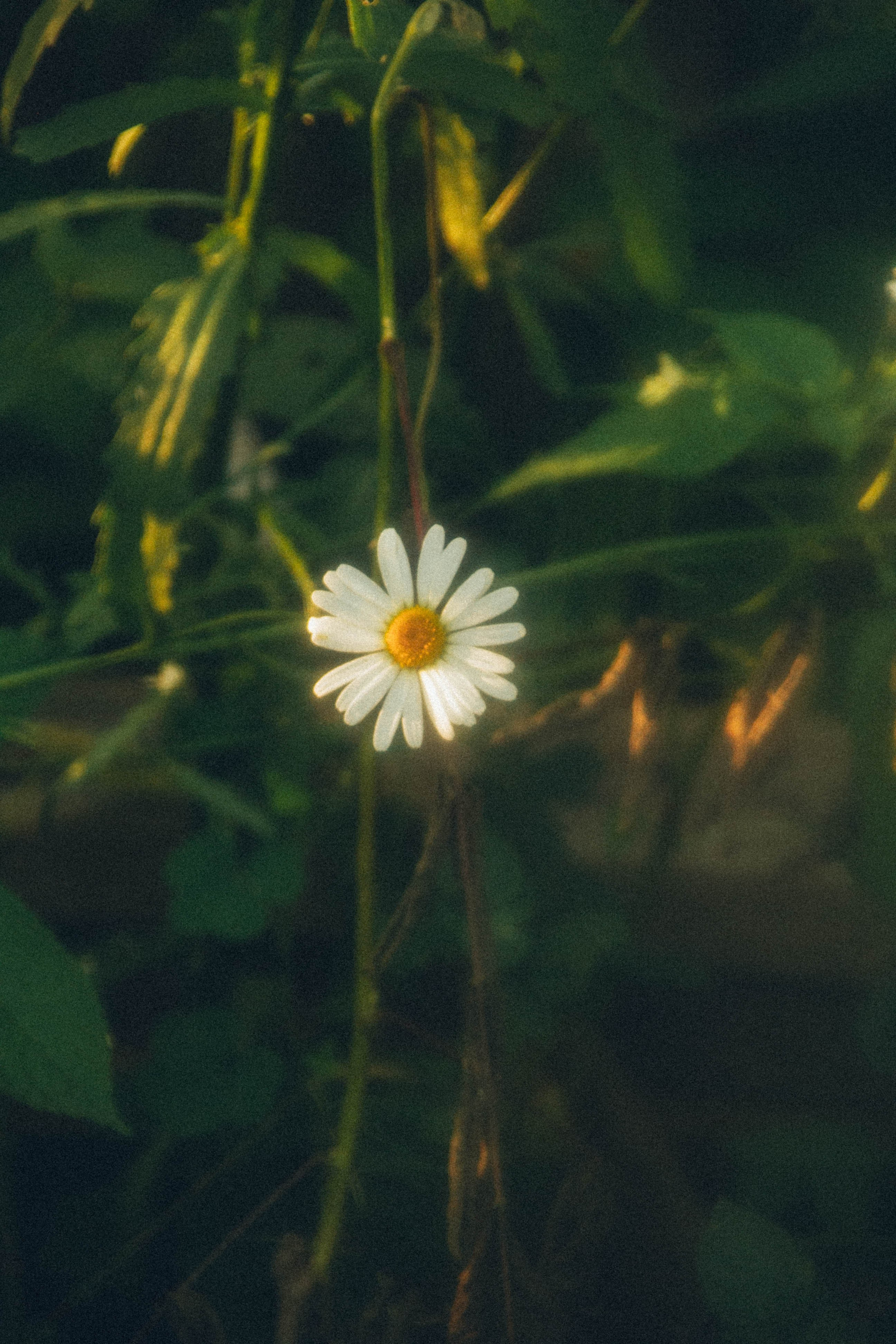 Природа. Darinishna Фэнтези-фотограф Хабаровск