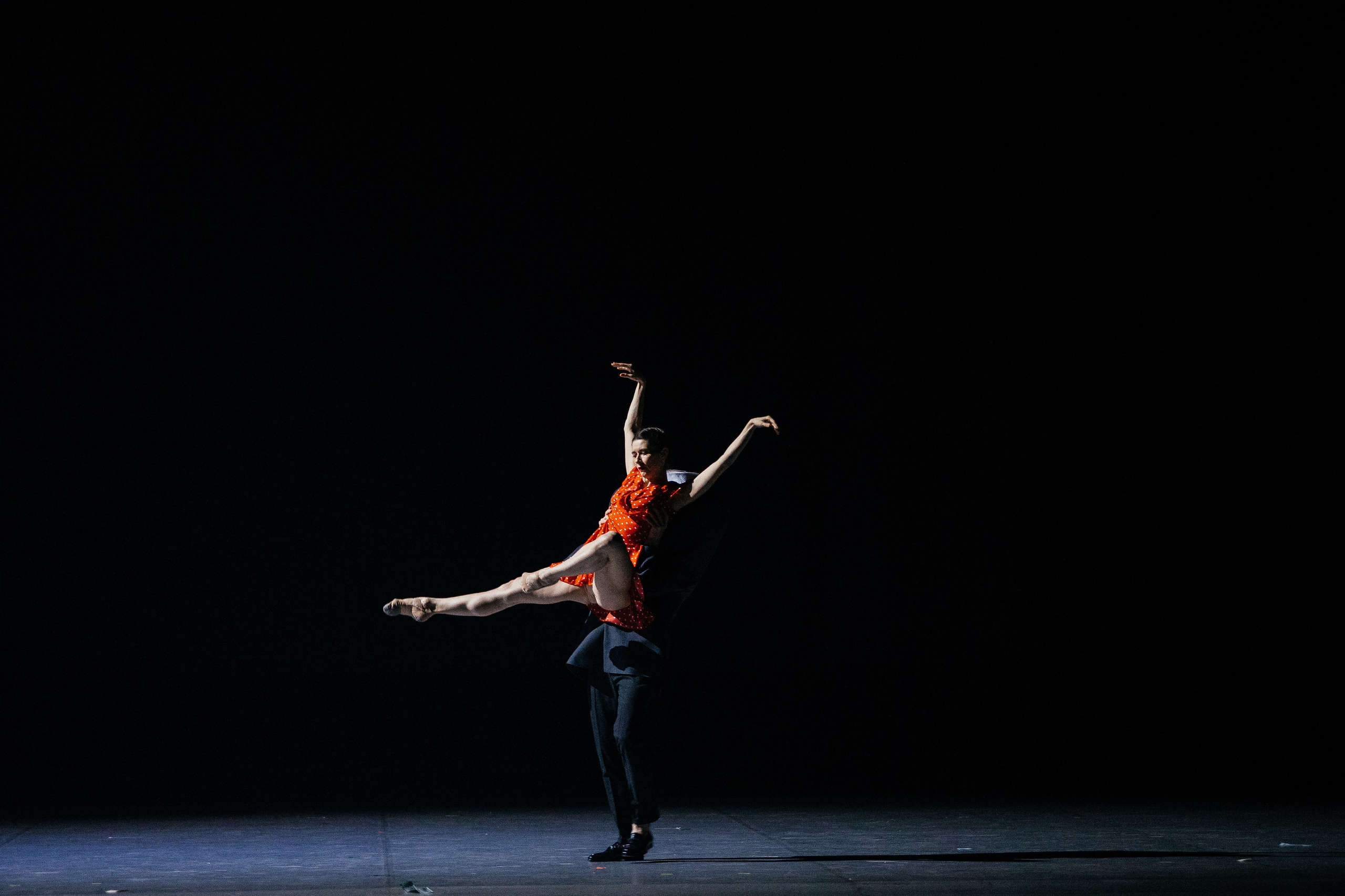 Мастер и Маргарита. Светский фотограф — Анисина Ирина