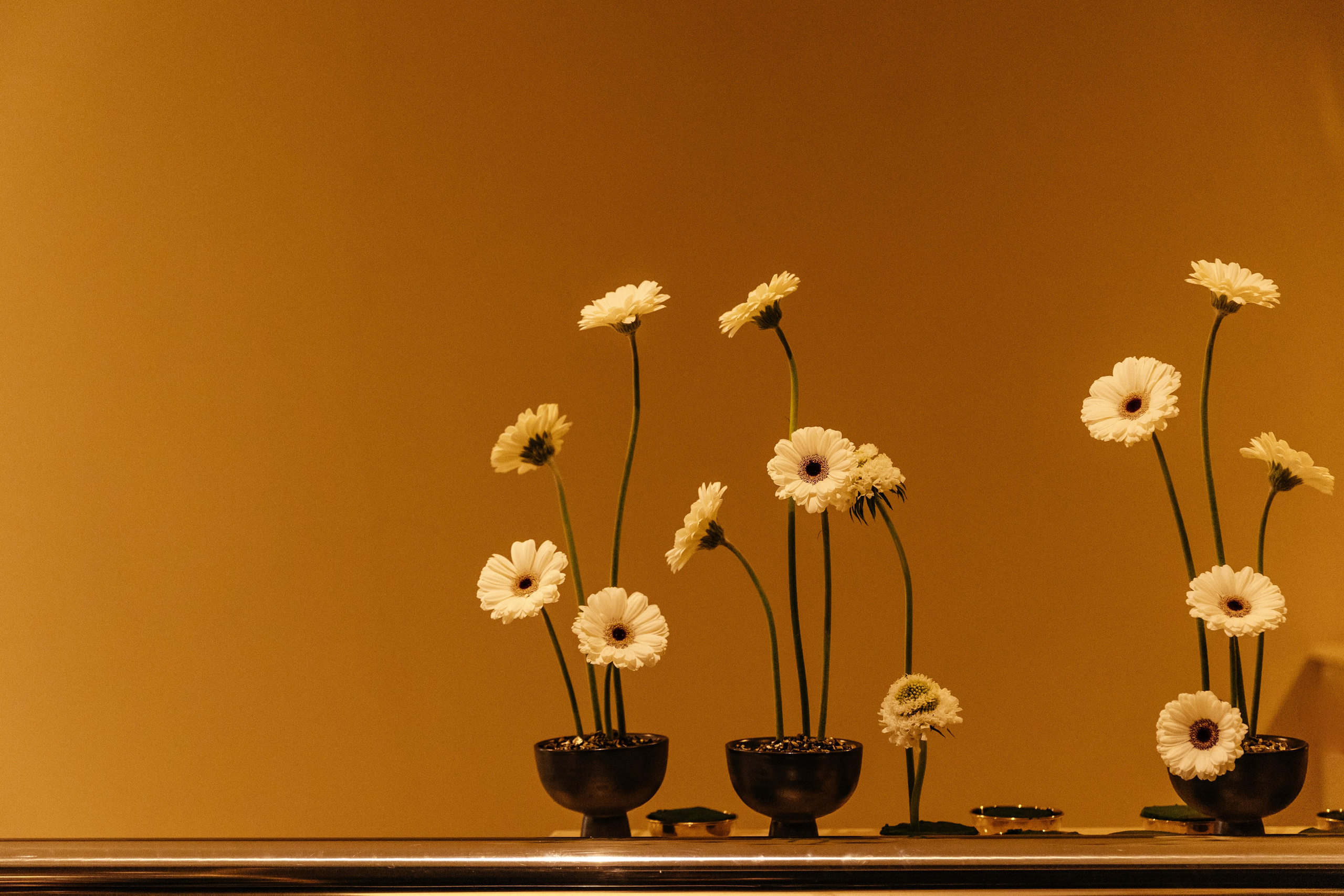 Дарья и Дмитрий RODINA. Свадебный и семейный фотограф в Краснодаре Роман Моско