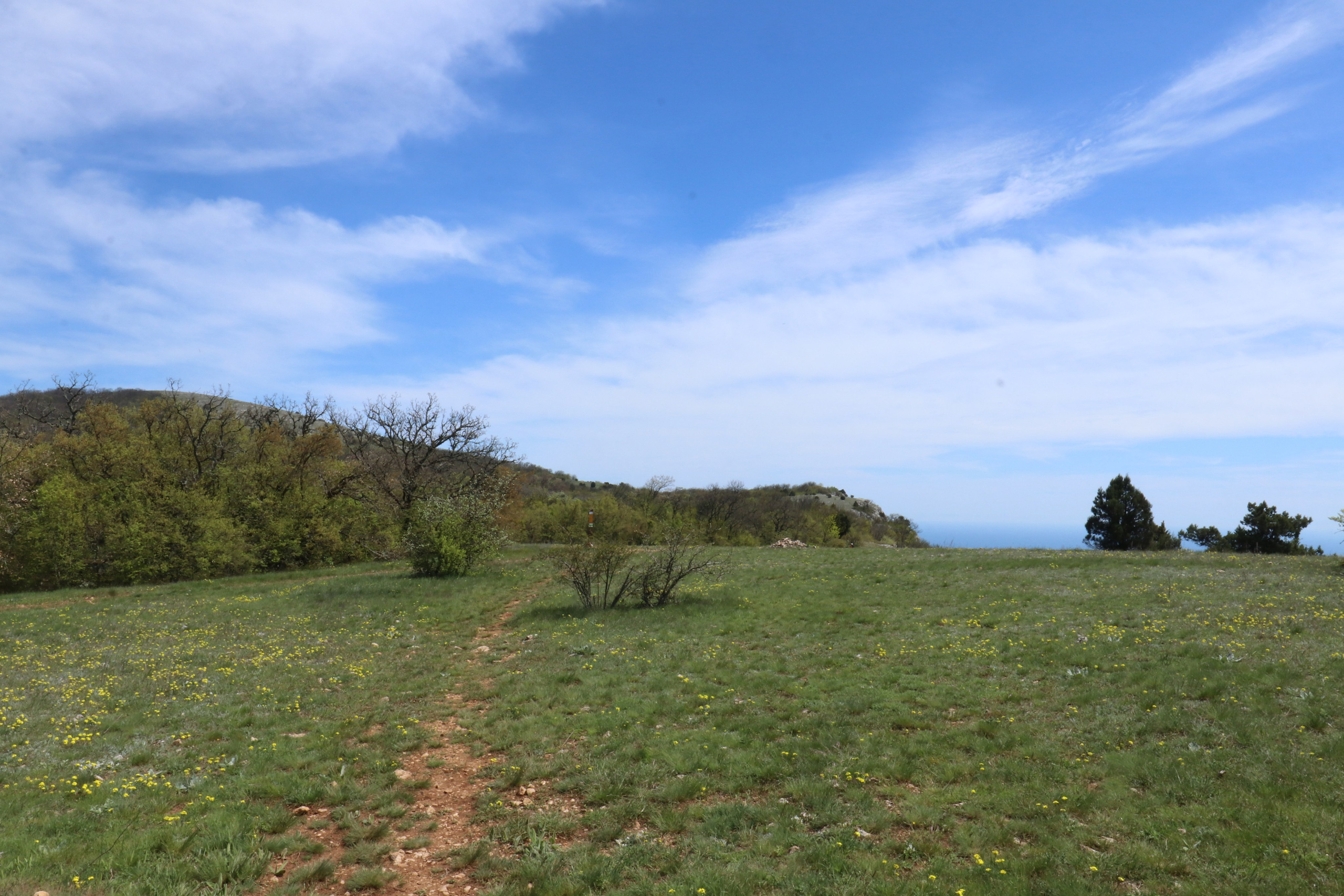 Крым. ЮБК (Севастополь, Кастрополь, Ялта). Май 2023. Путешественник-фотограф из Санкт-Петербурга Татьяна Свистулина