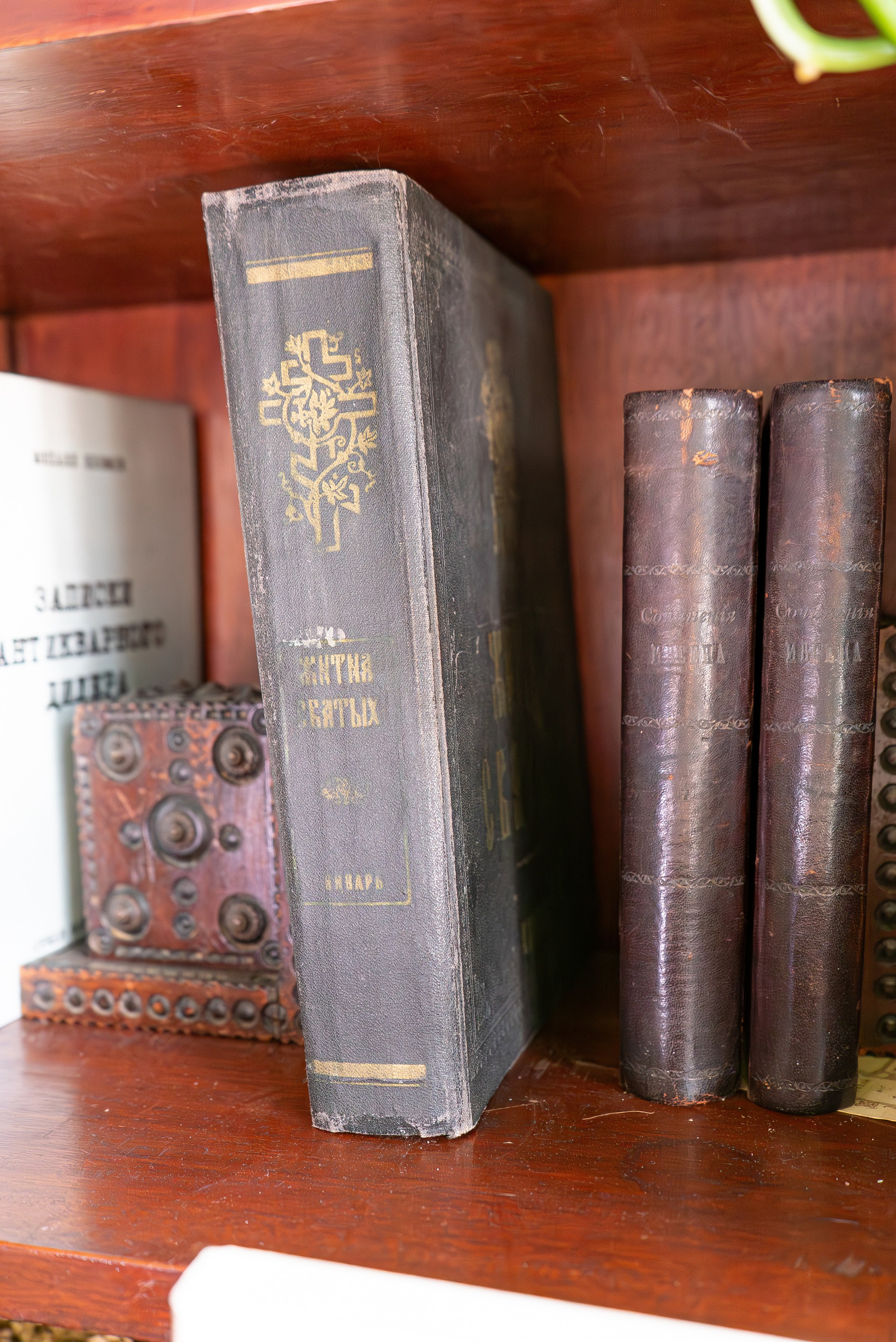 Усадьба. Александра Куликова фотограф, Москва