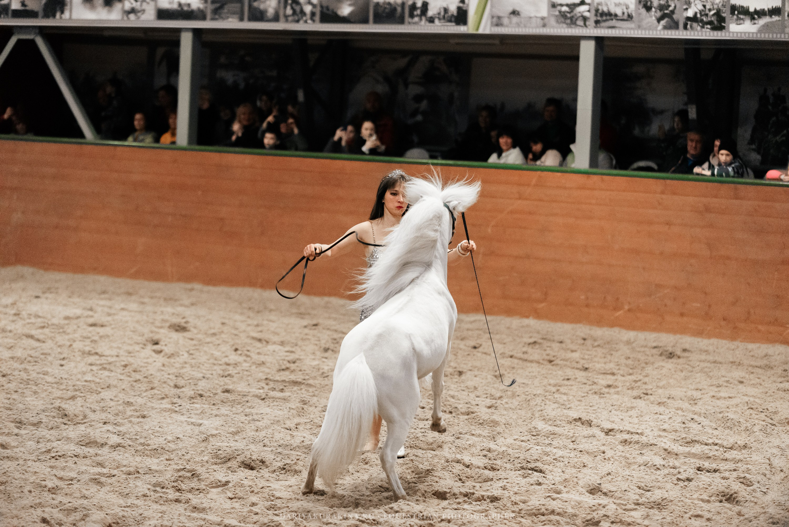 Конное представление «Дыхание Звёзд». Конный фотограф Куракина Дарья • Фотосессии с лошадьми