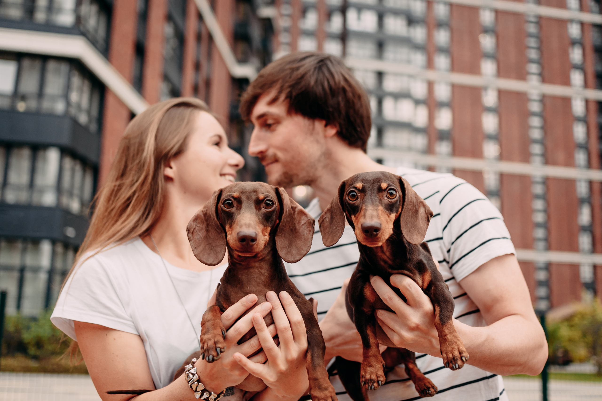 Миша и Катя. Свадебный и семейный фотограф в Москве Юлия Шикалова