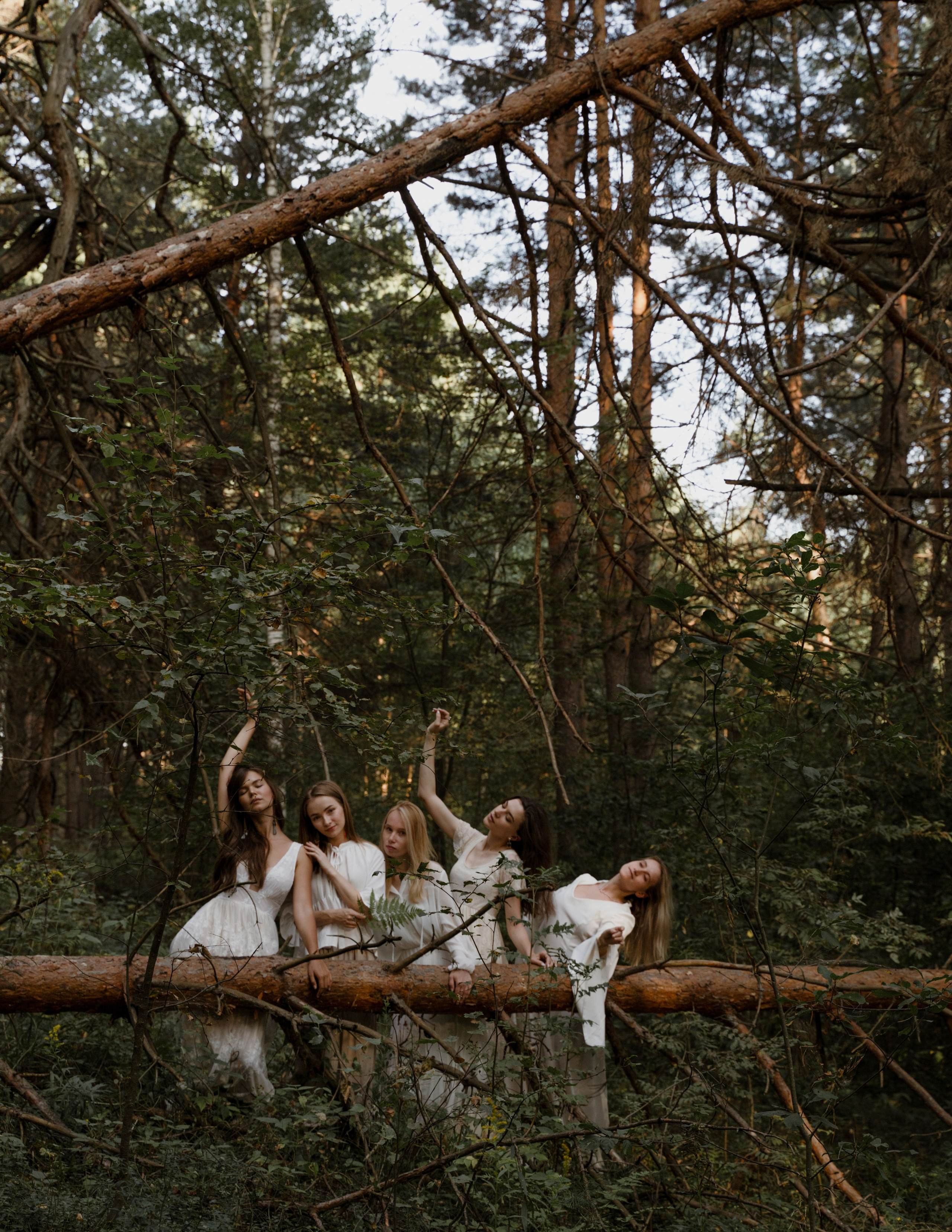 Дикая. Фотограф в Москве и Нижнем Новгороде Никонова Анастасия