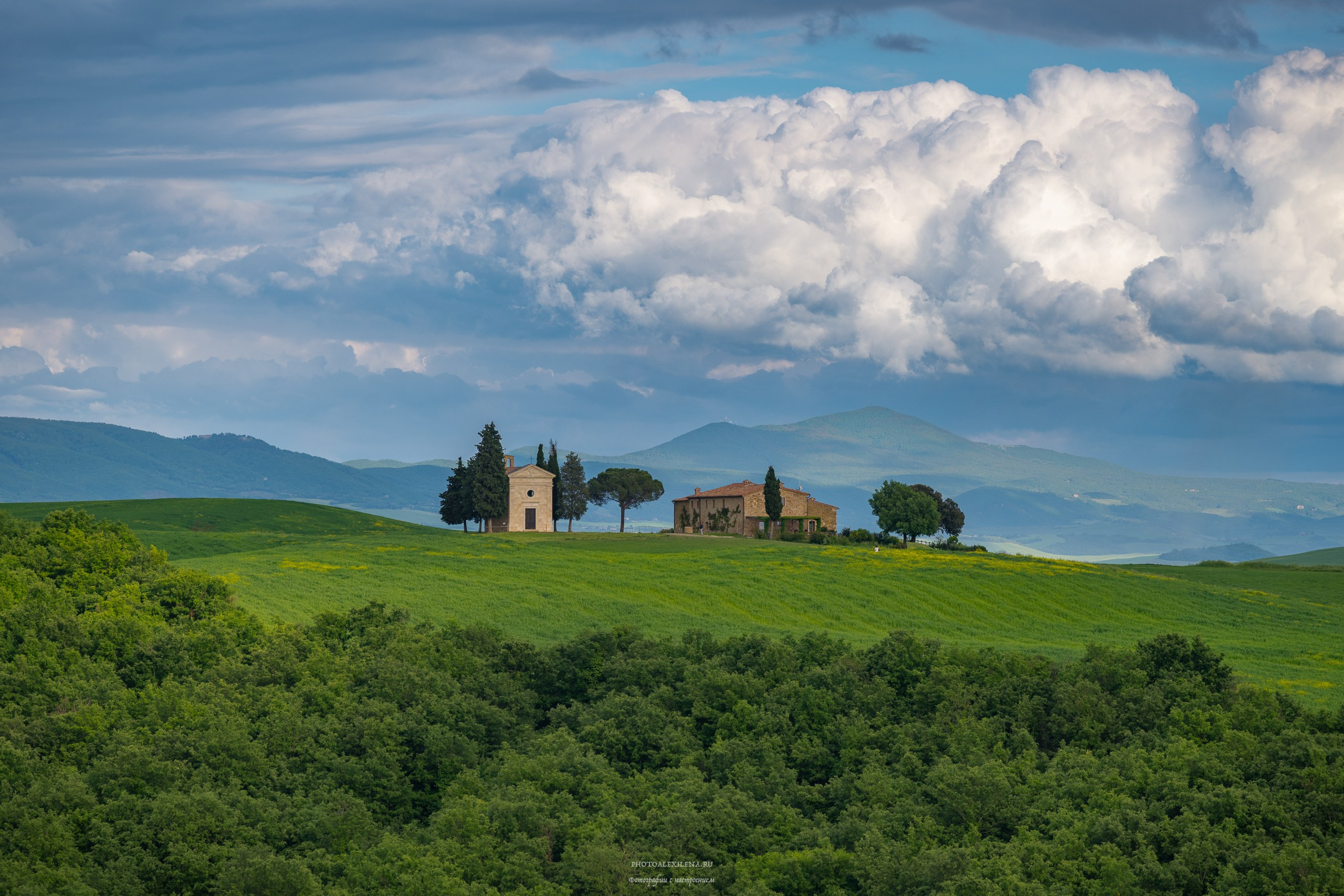 Авторская фотография для интерьеров