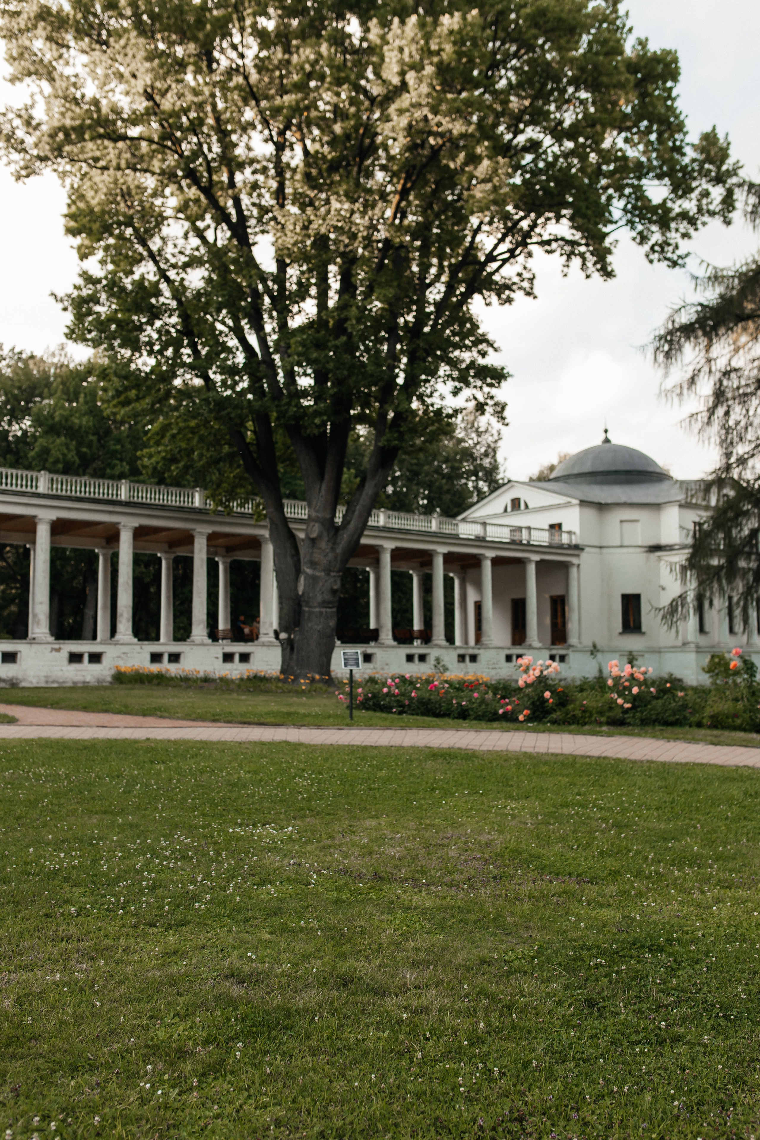 Love is in the air. Ваш фотограф  Наволоцкая Юлия