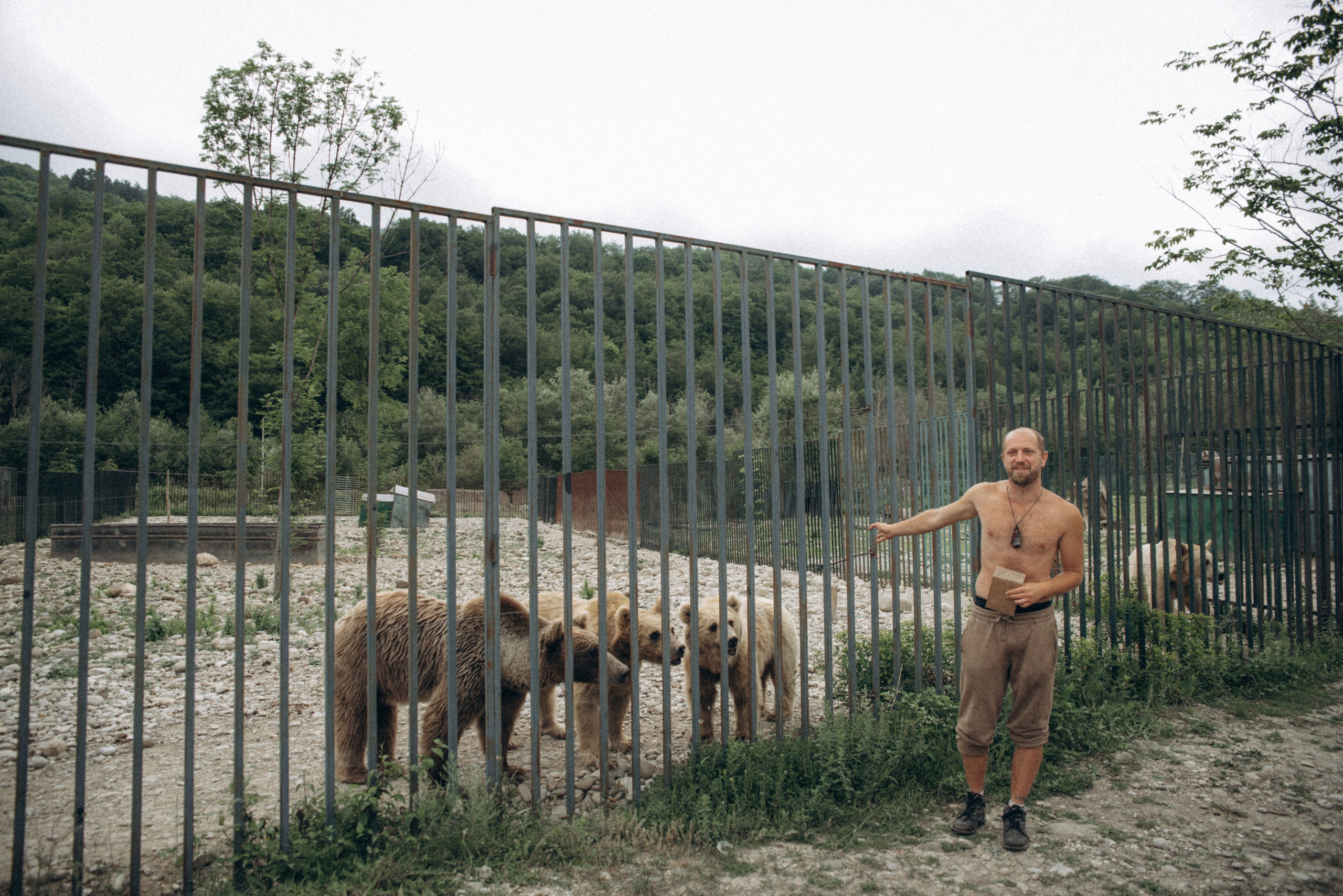 Медвежий приют, Мамкода, Грузия 🇬🇪 «Honey Trip». Anita_photo