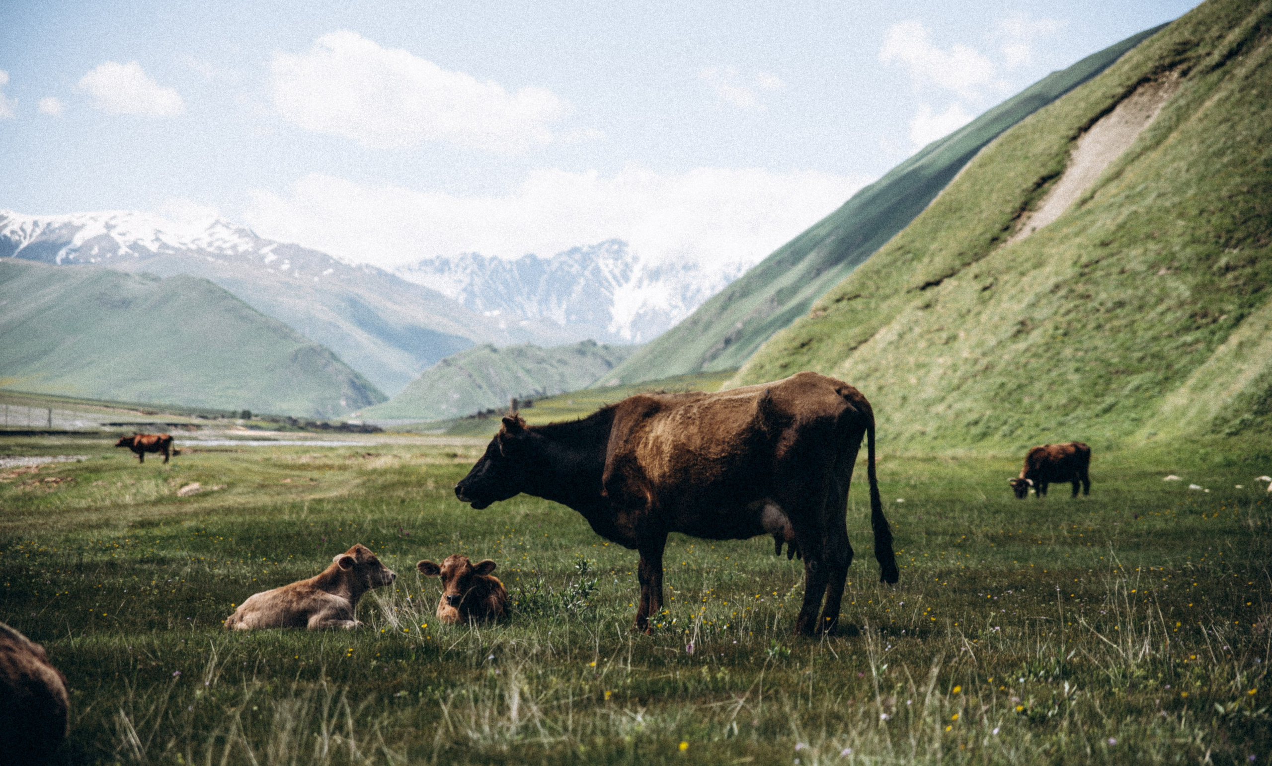Долина Трусо, Грузия 🇬🇪. Anita_photo