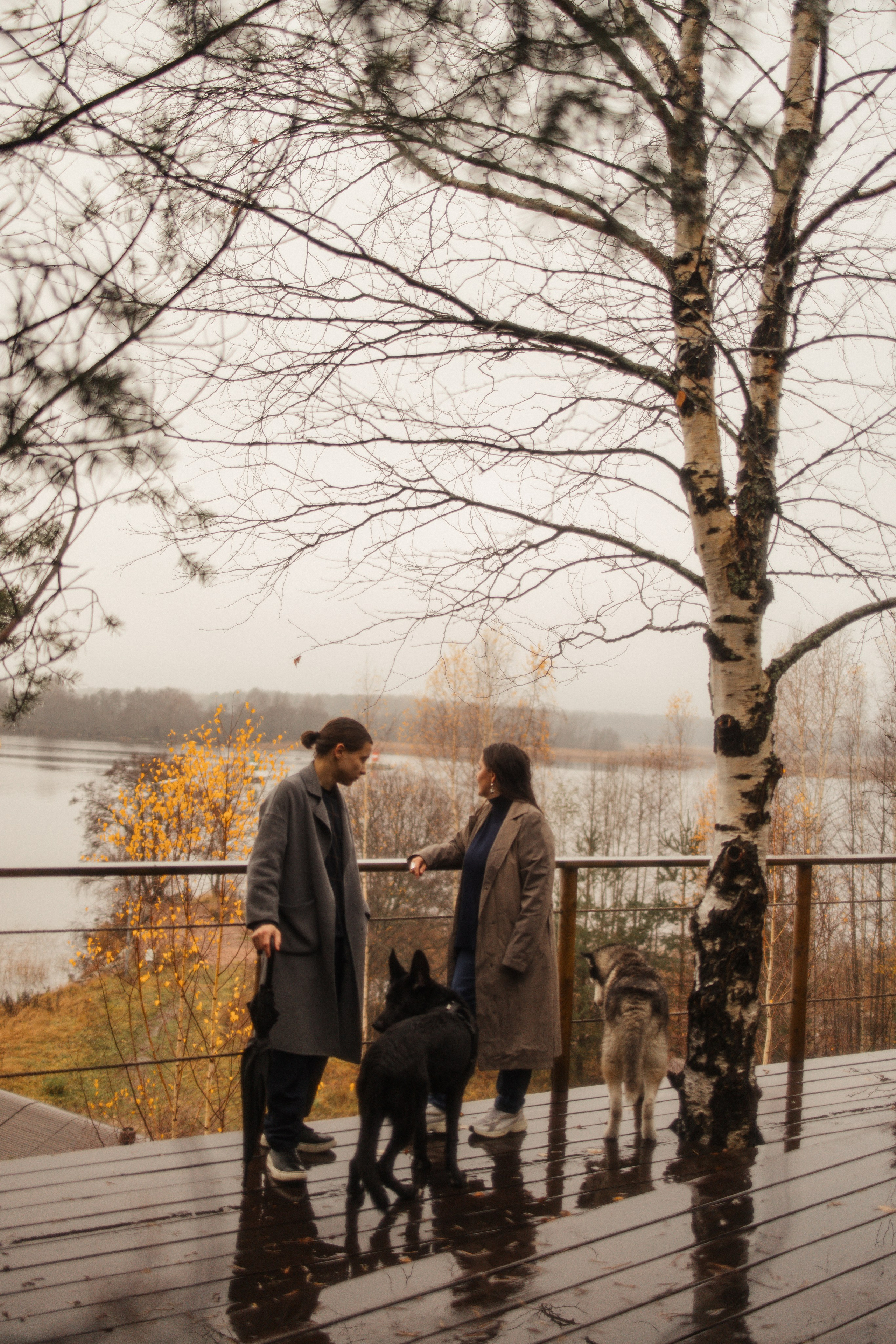 Лена, Глеб, Ральф и Рэй. Фотограф в Выборге и Санкт-Петербурге Маша Гуляева