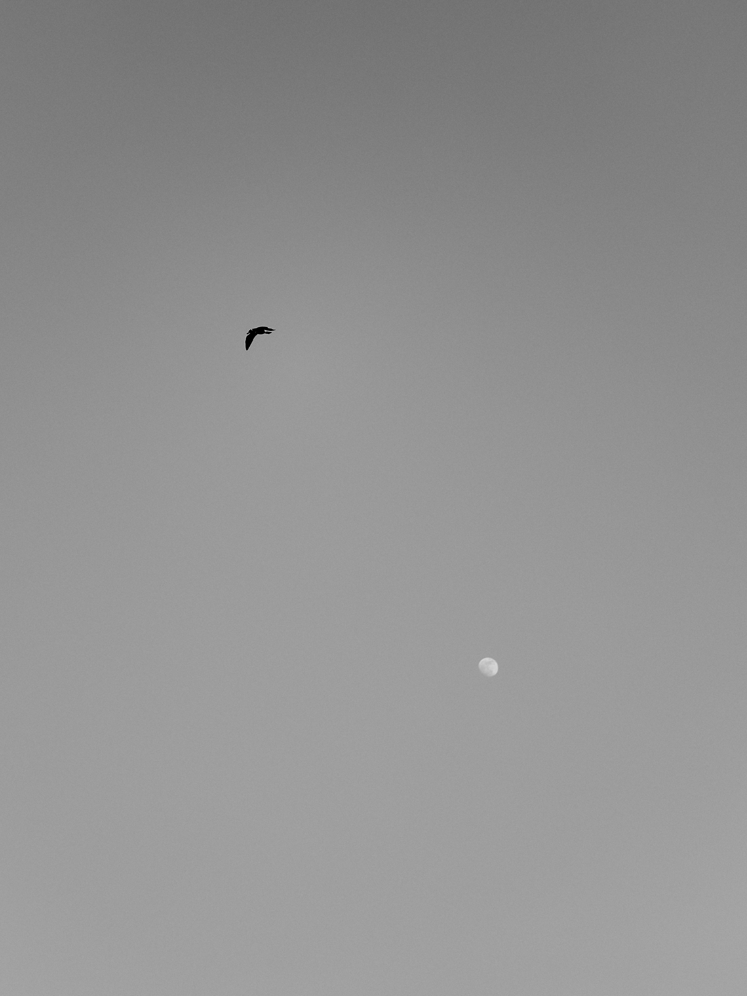 B&W. Jorgis — фотограф в Хургаде / обучение фотографии