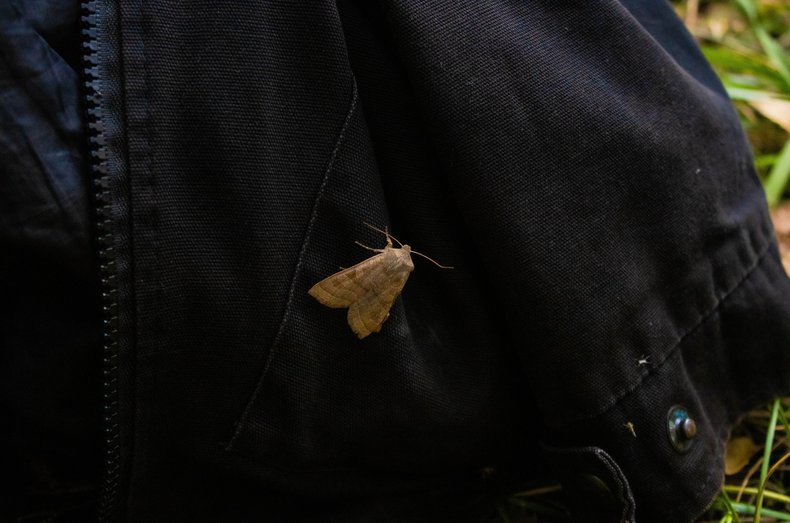 День здоровья в Екатеринбургской академии современного искусства 2024