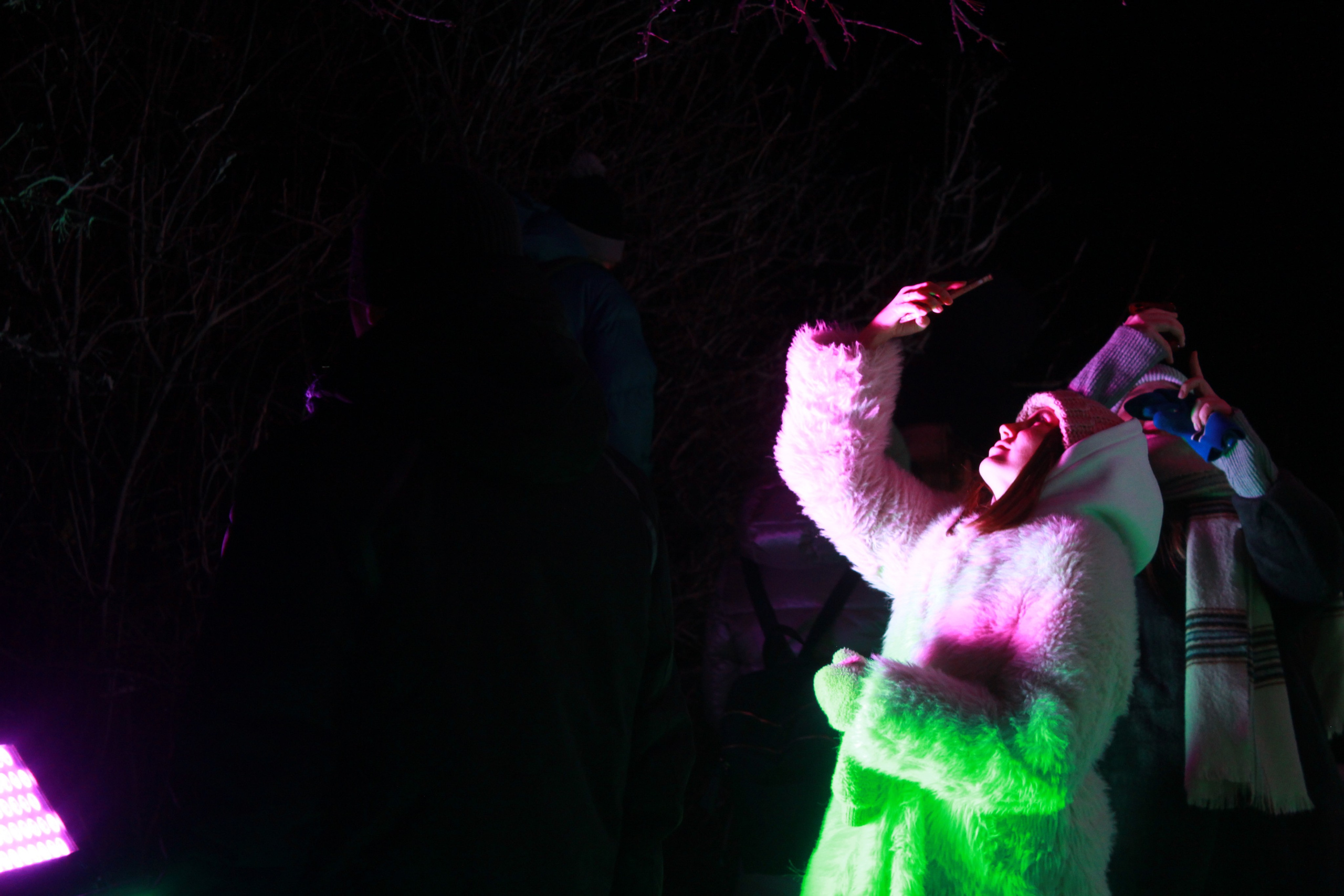 НЕ ТЕМНО 2024