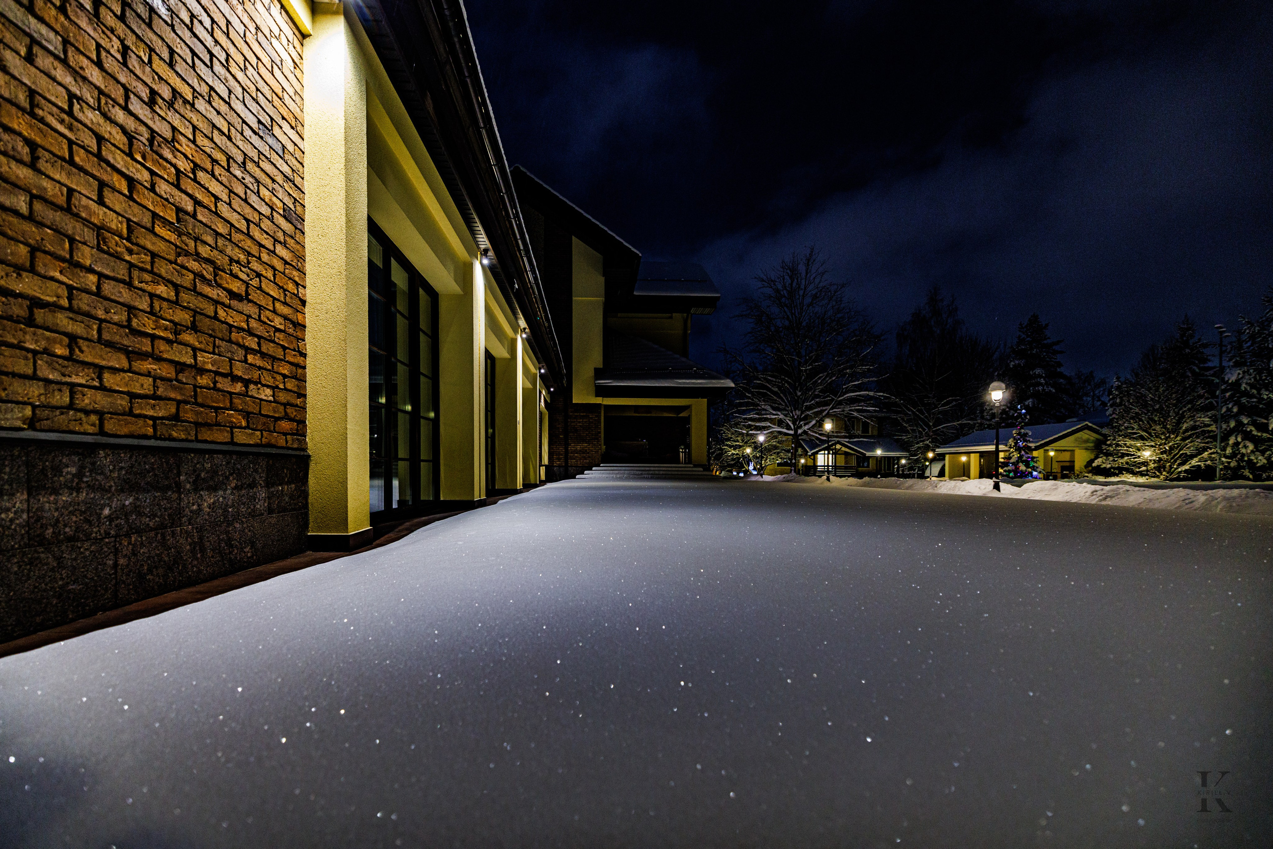 Природа 31 Декабря 2025 года. Клены. Фотографирую жизнь! Московский фотограф волонтер