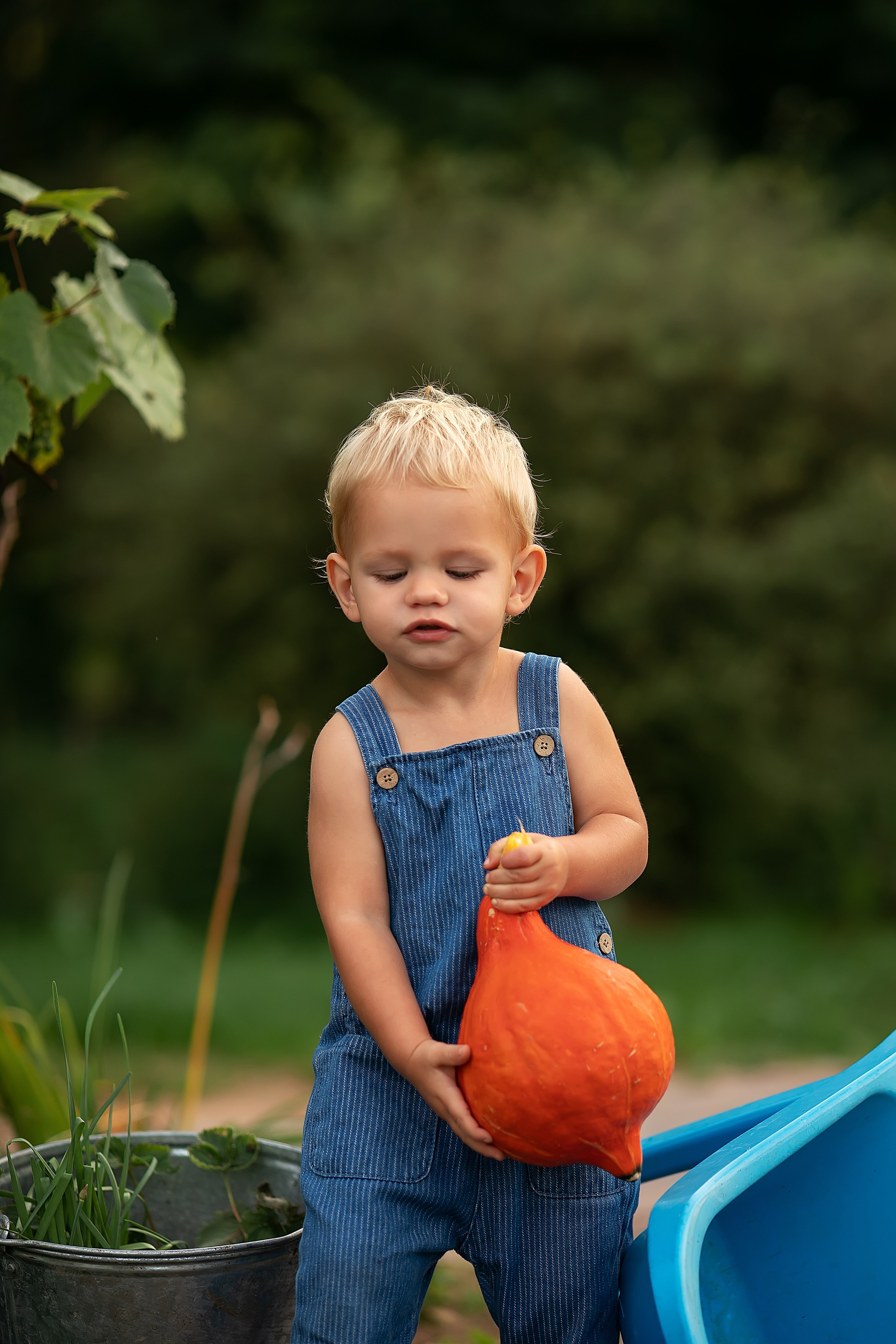 Лето. Главная