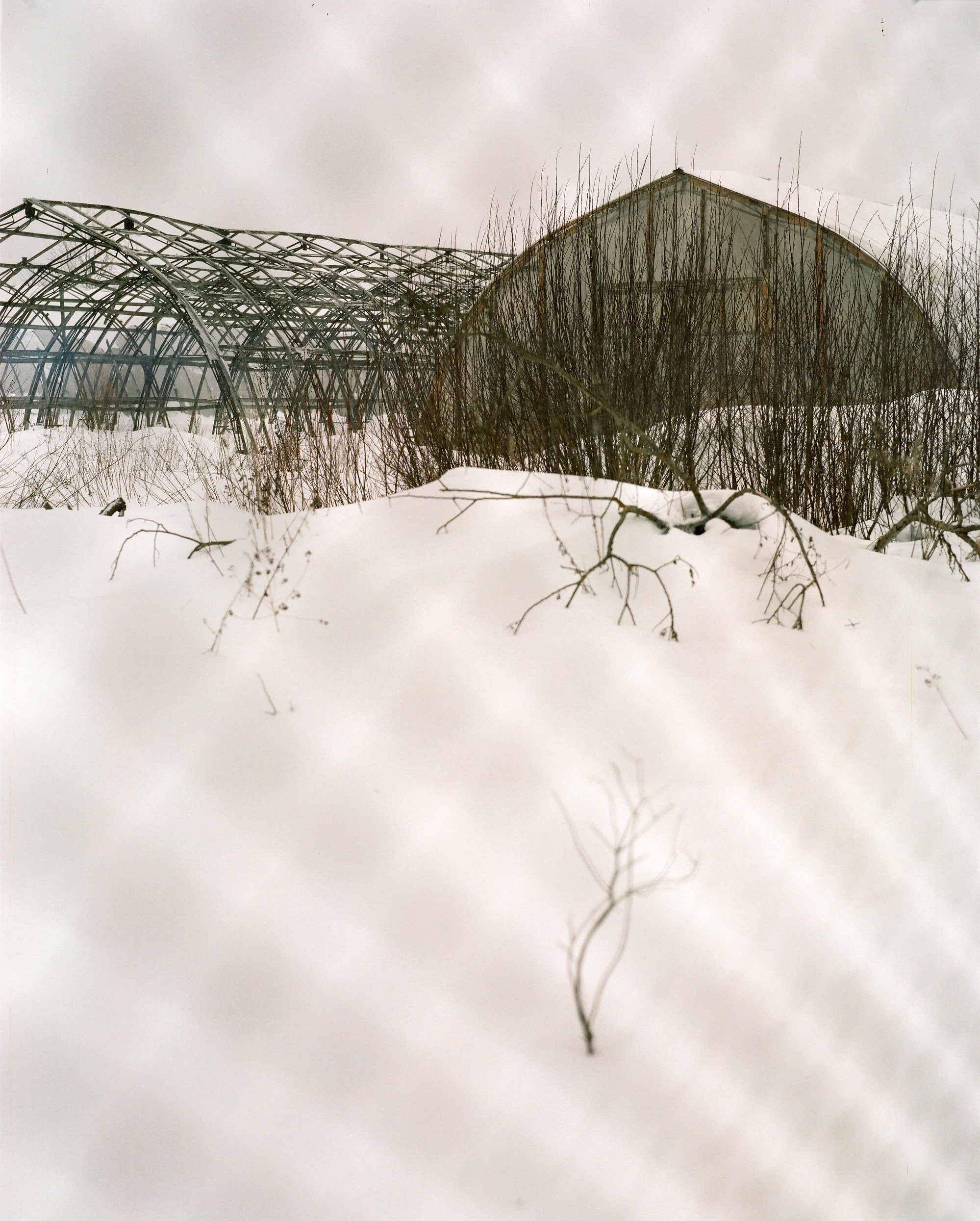 Дневник каньона. Екатерина Васильева художник, куратор и преподаватель