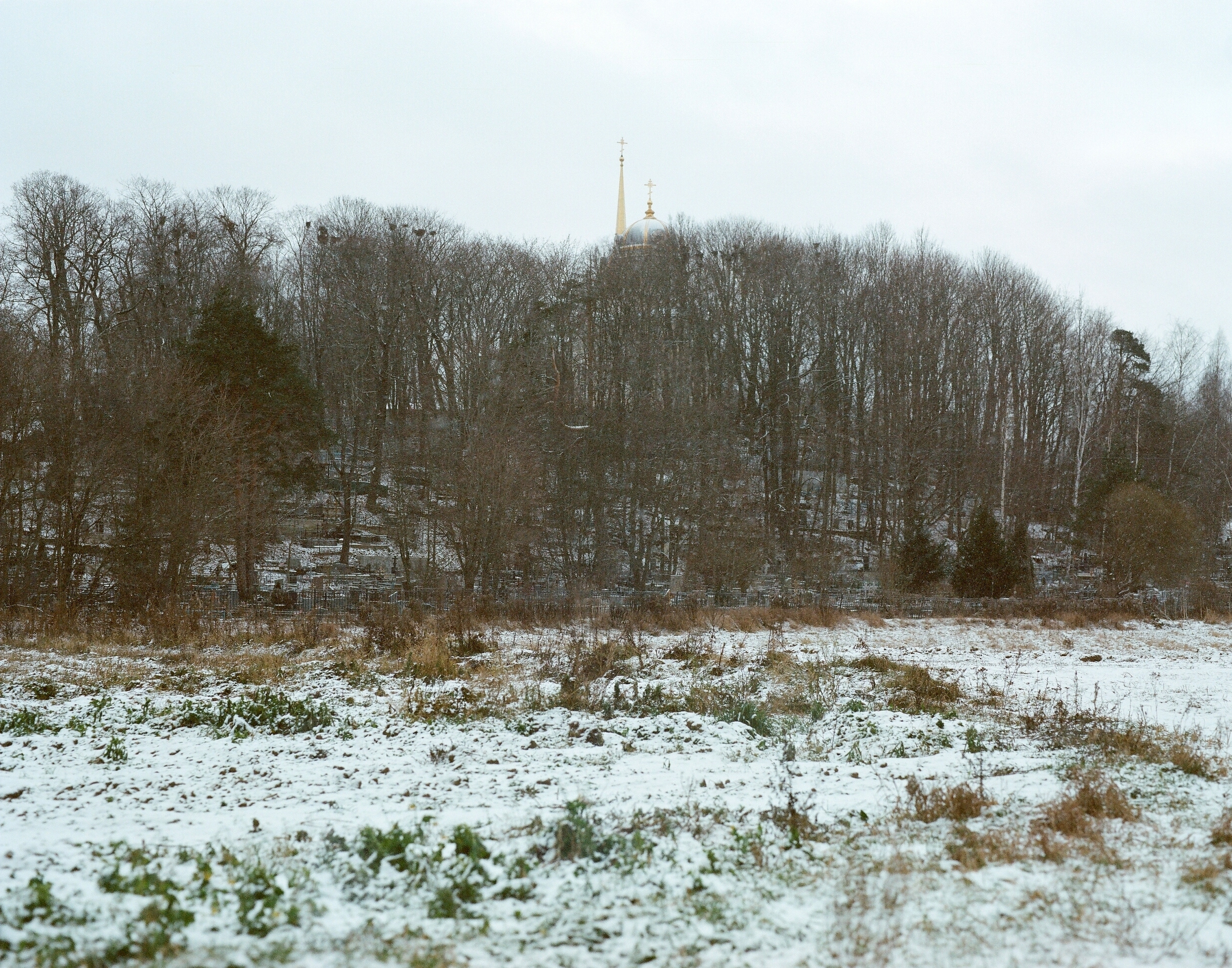 Дневник каньона. Екатерина Васильева художник, куратор и преподаватель