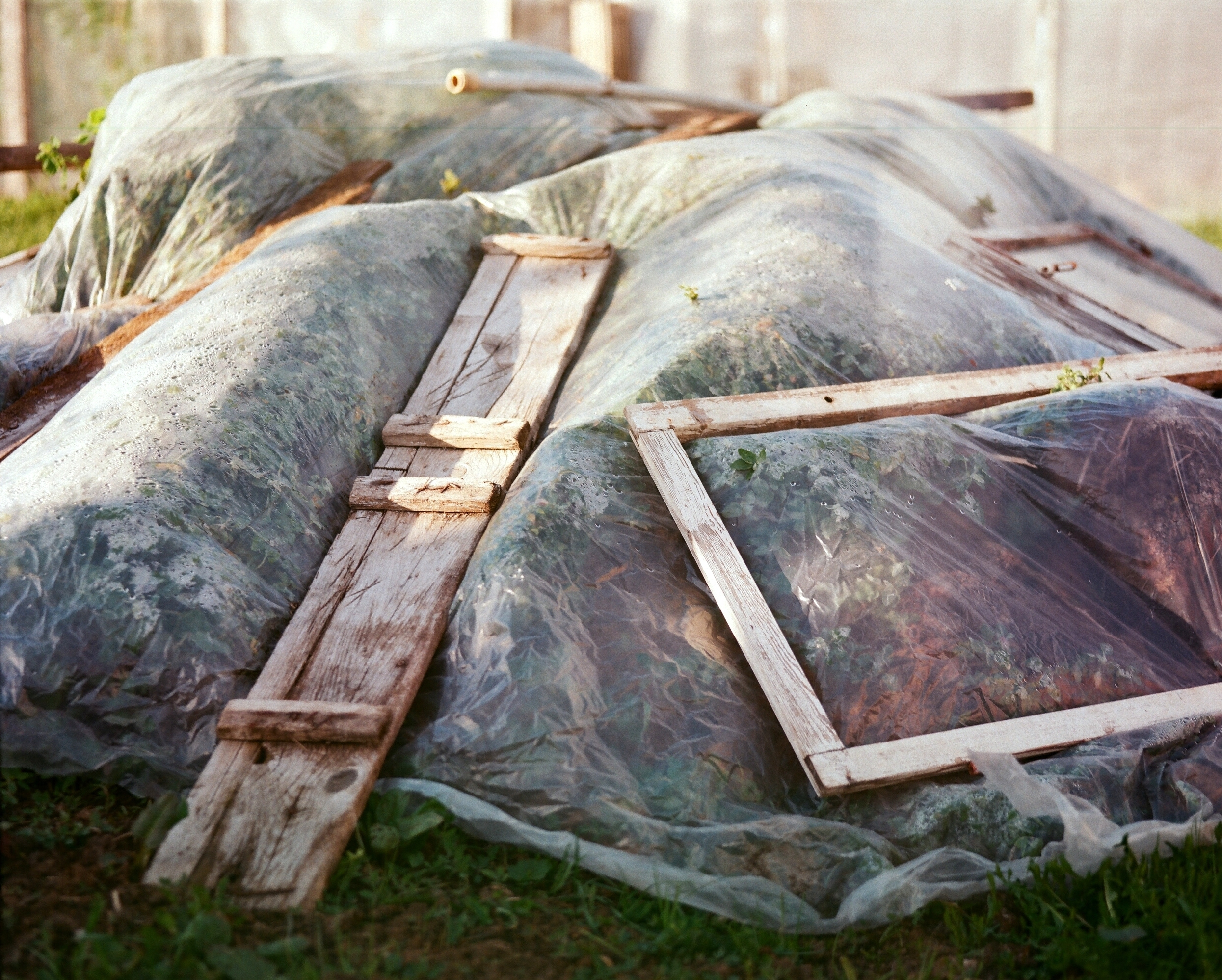 Дневник каньона. Екатерина Васильева художник, куратор и преподаватель